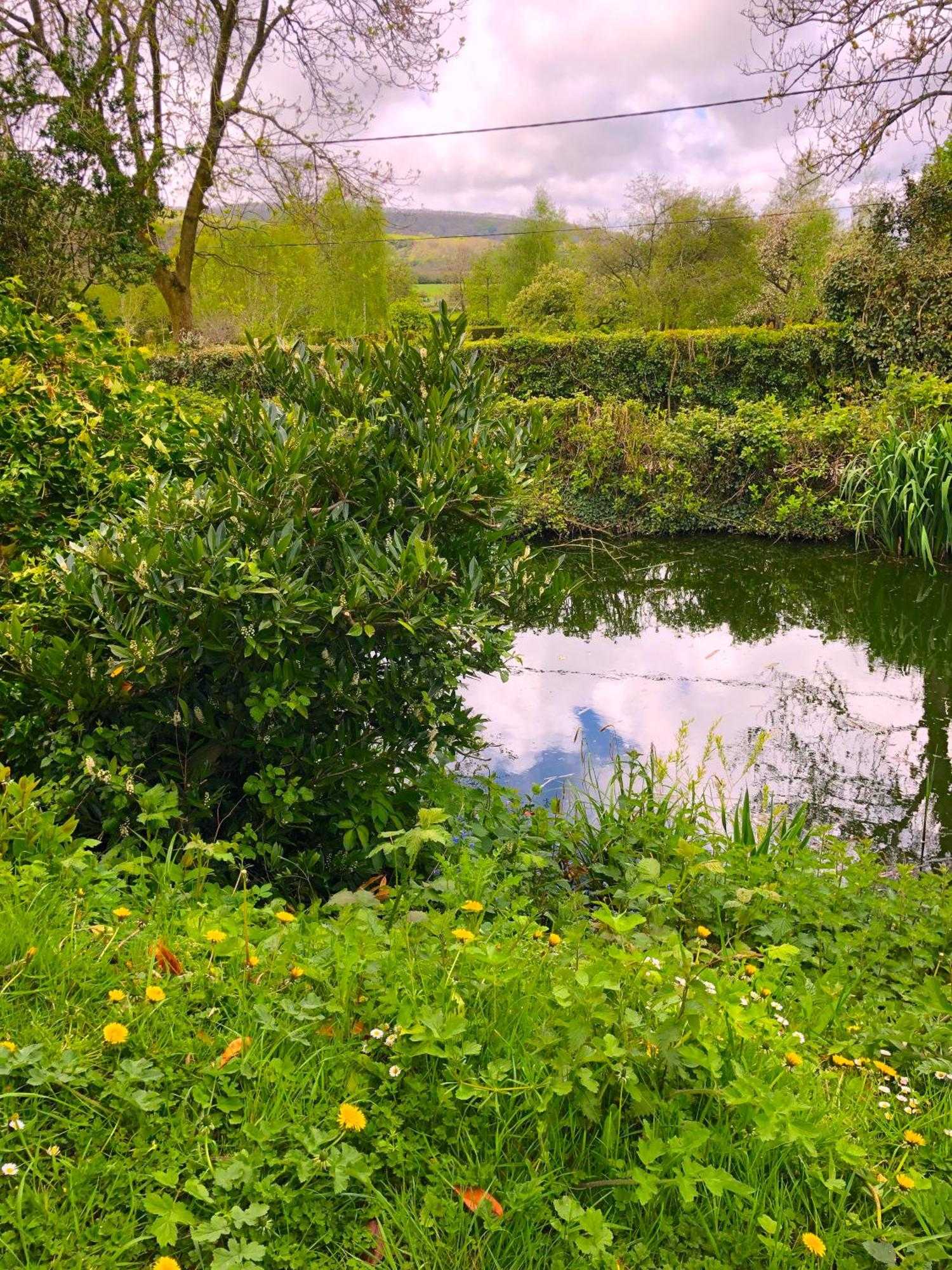 Gift card for Tovey Lodge