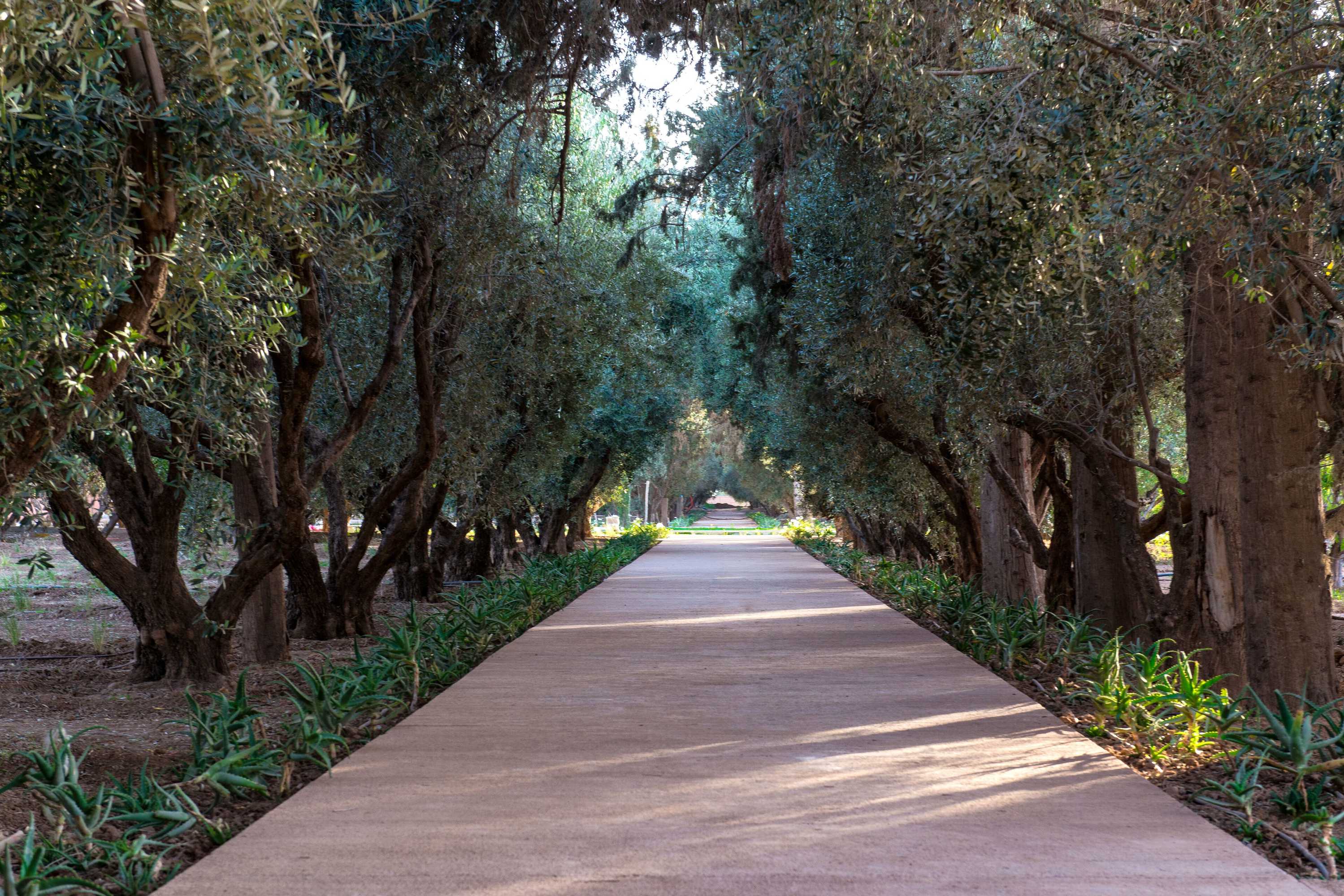 Gift card for The Oberoi Marrakech Gift card for The Oberoi Marrakech