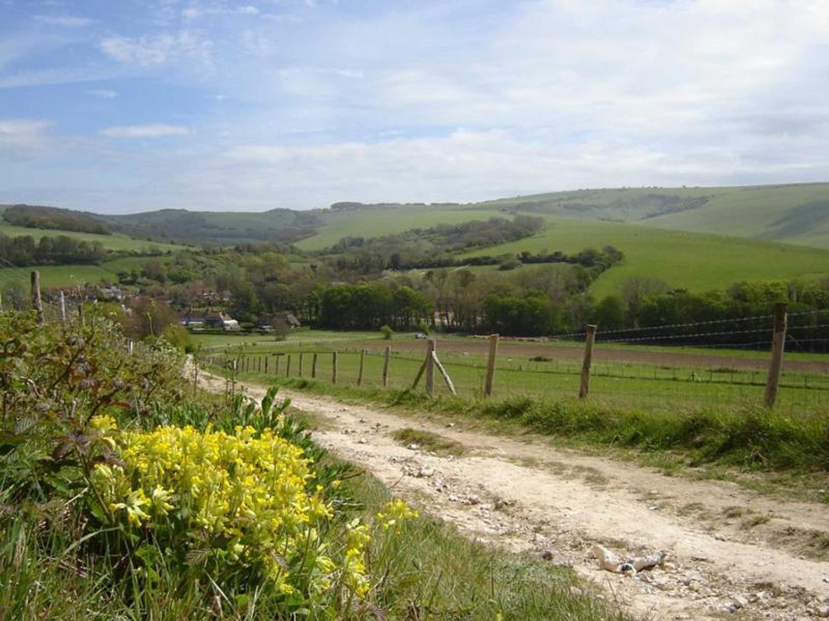 Gift card for Lamb's Knees