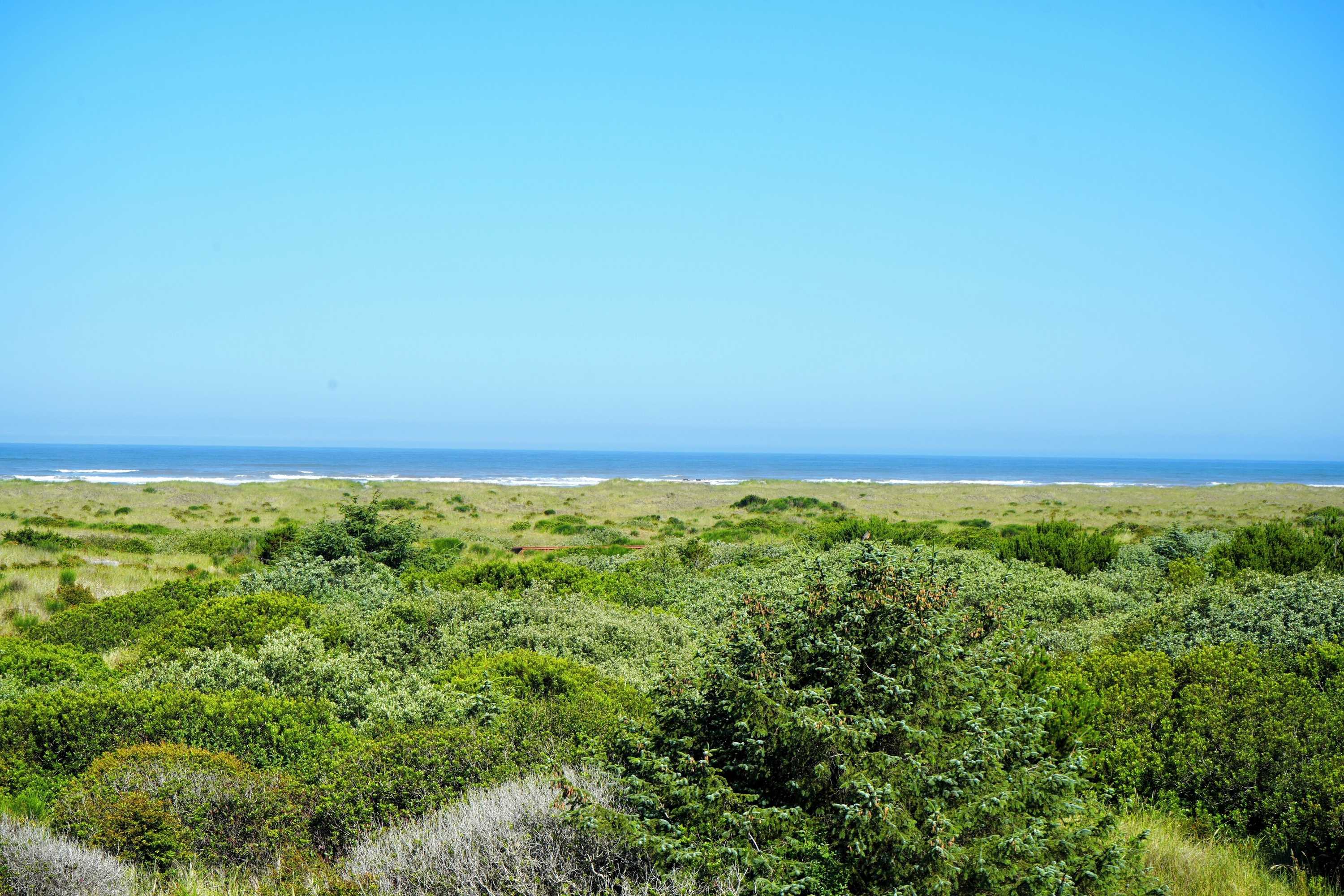 Gift card for Ocean Paradise Hotel & Resort