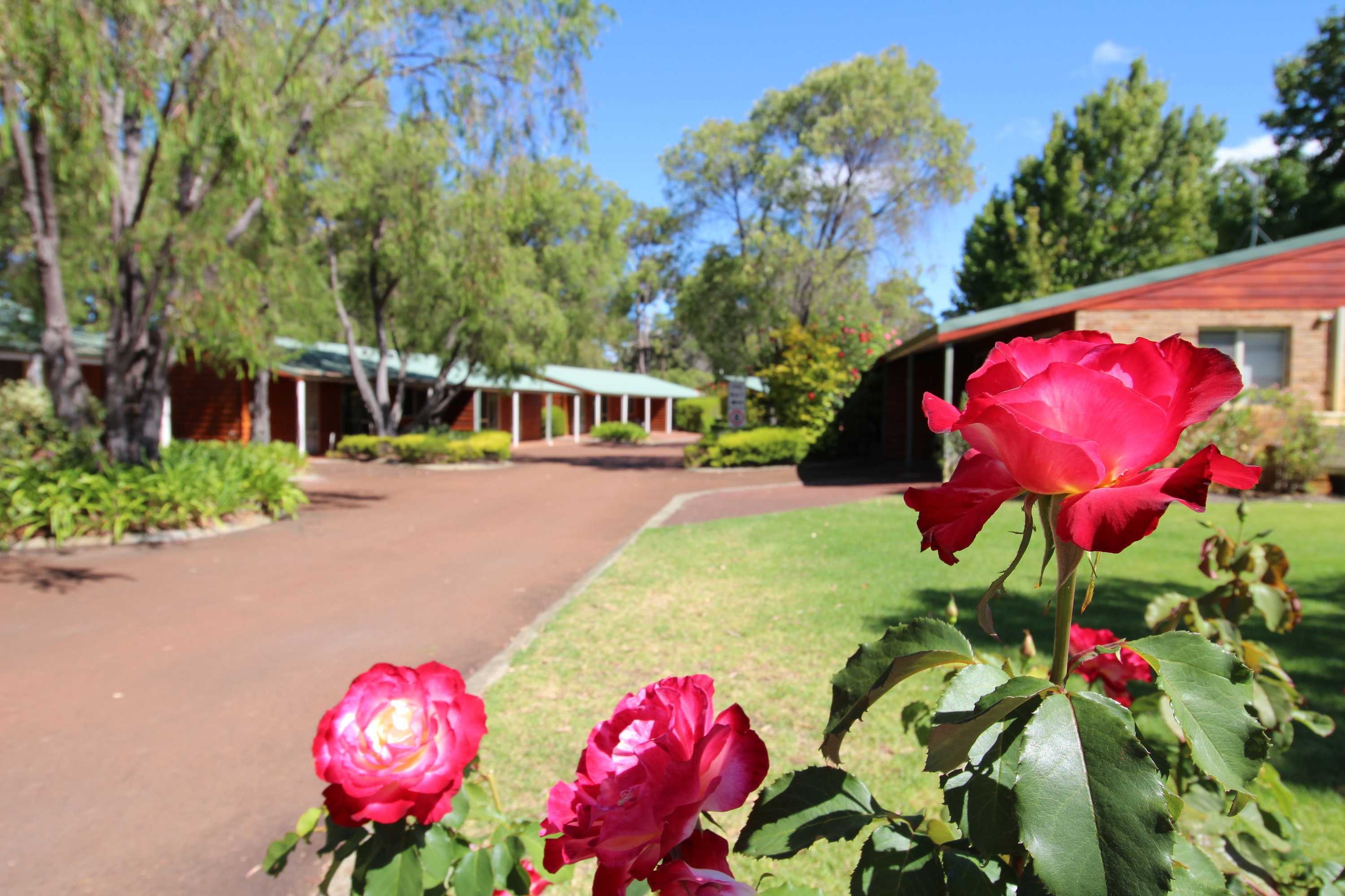 Gift card for Margaret River Tourist Park Gift card for Margaret River Tourist Park