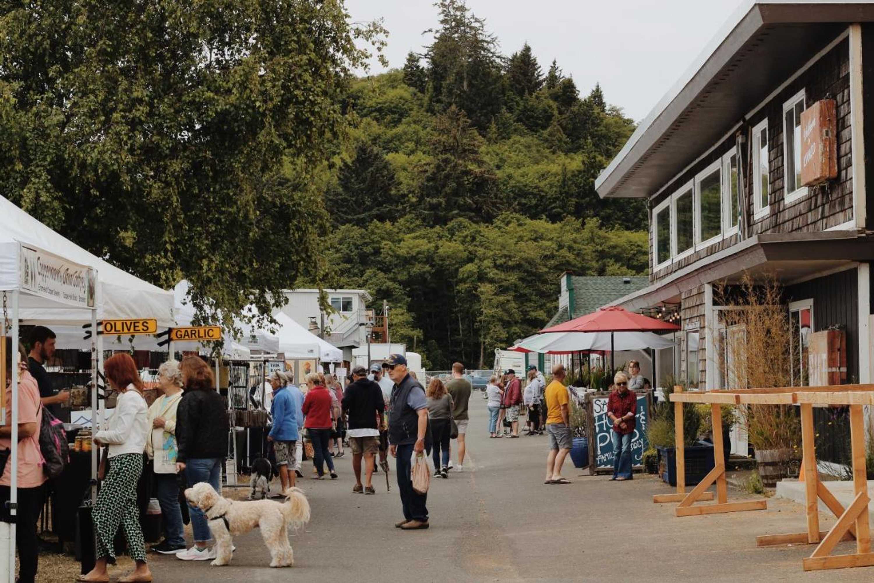 Gift card for Salt Hotel