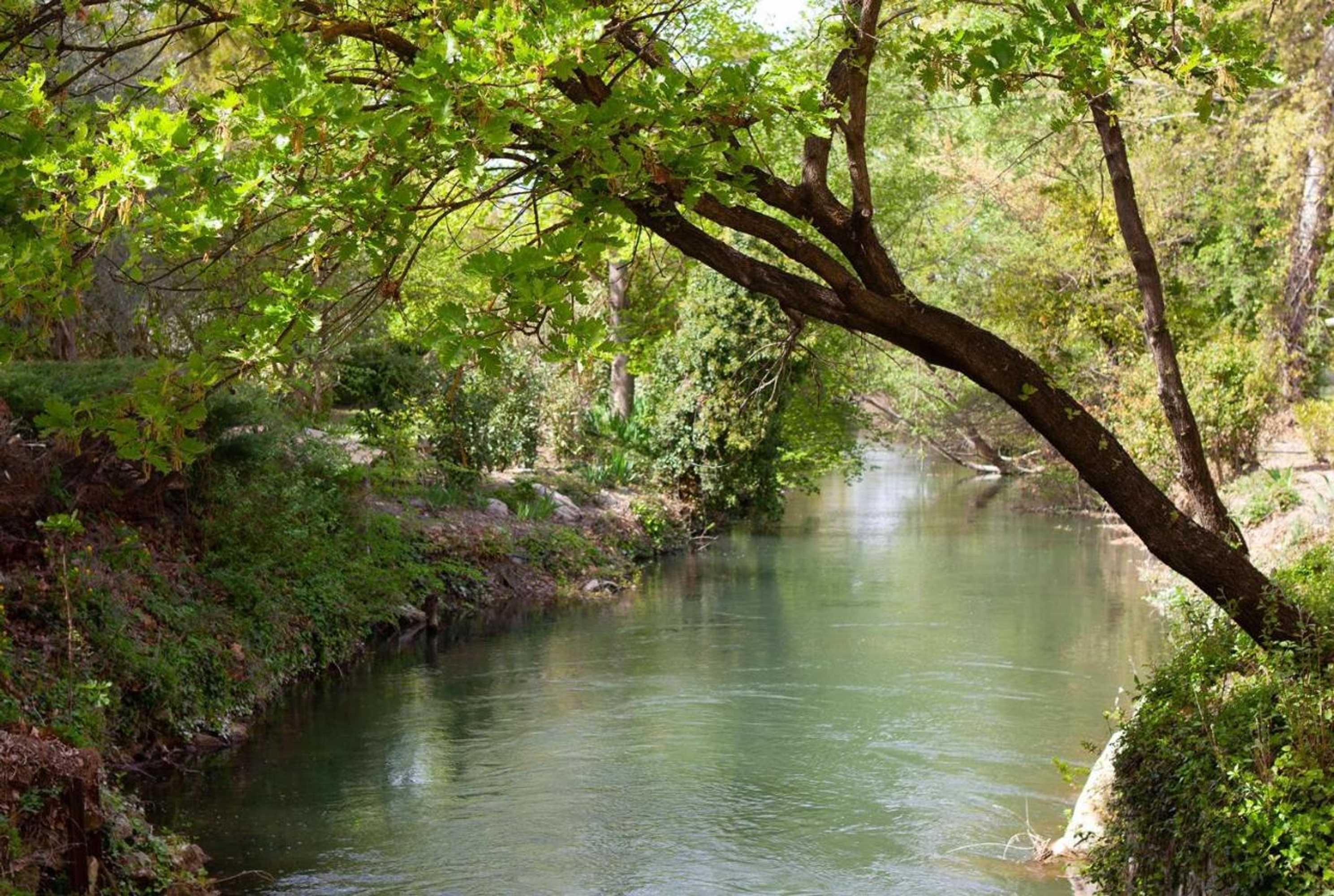 Gift card for Domaine de Blanche Fleur Gift card for Domaine de Blanche Fleur