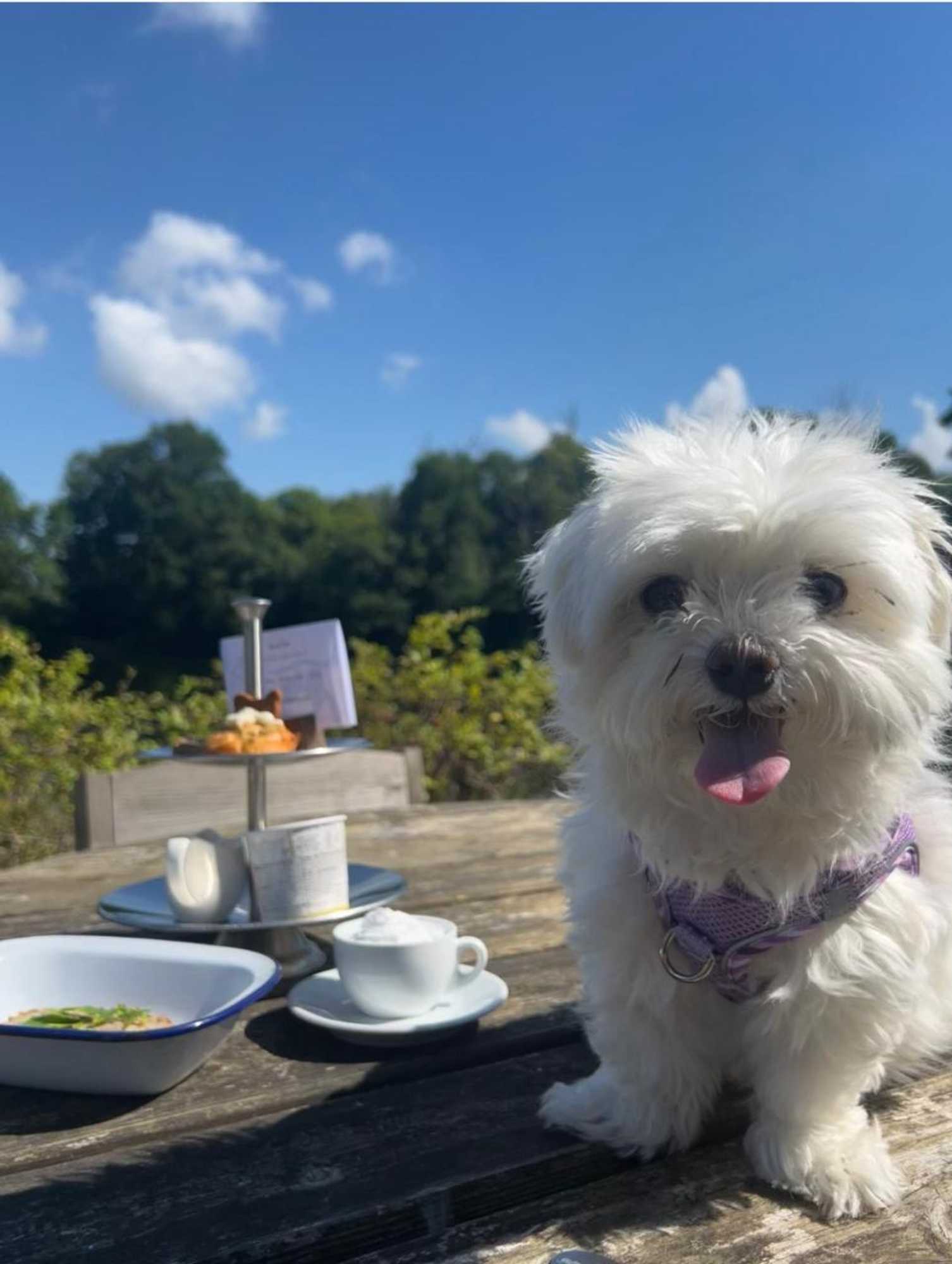 Gift card for Inn On The Lake