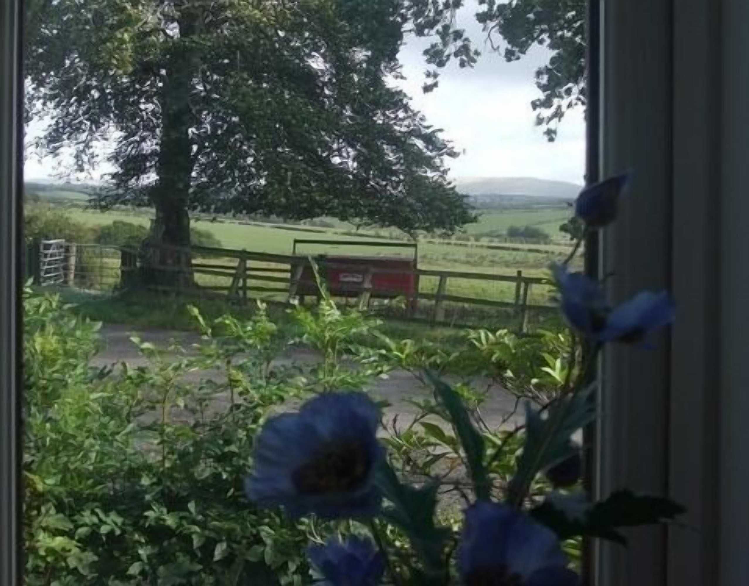 Gift card for Dykefield Farm B&b Gift card for Dykefield Farm B&b