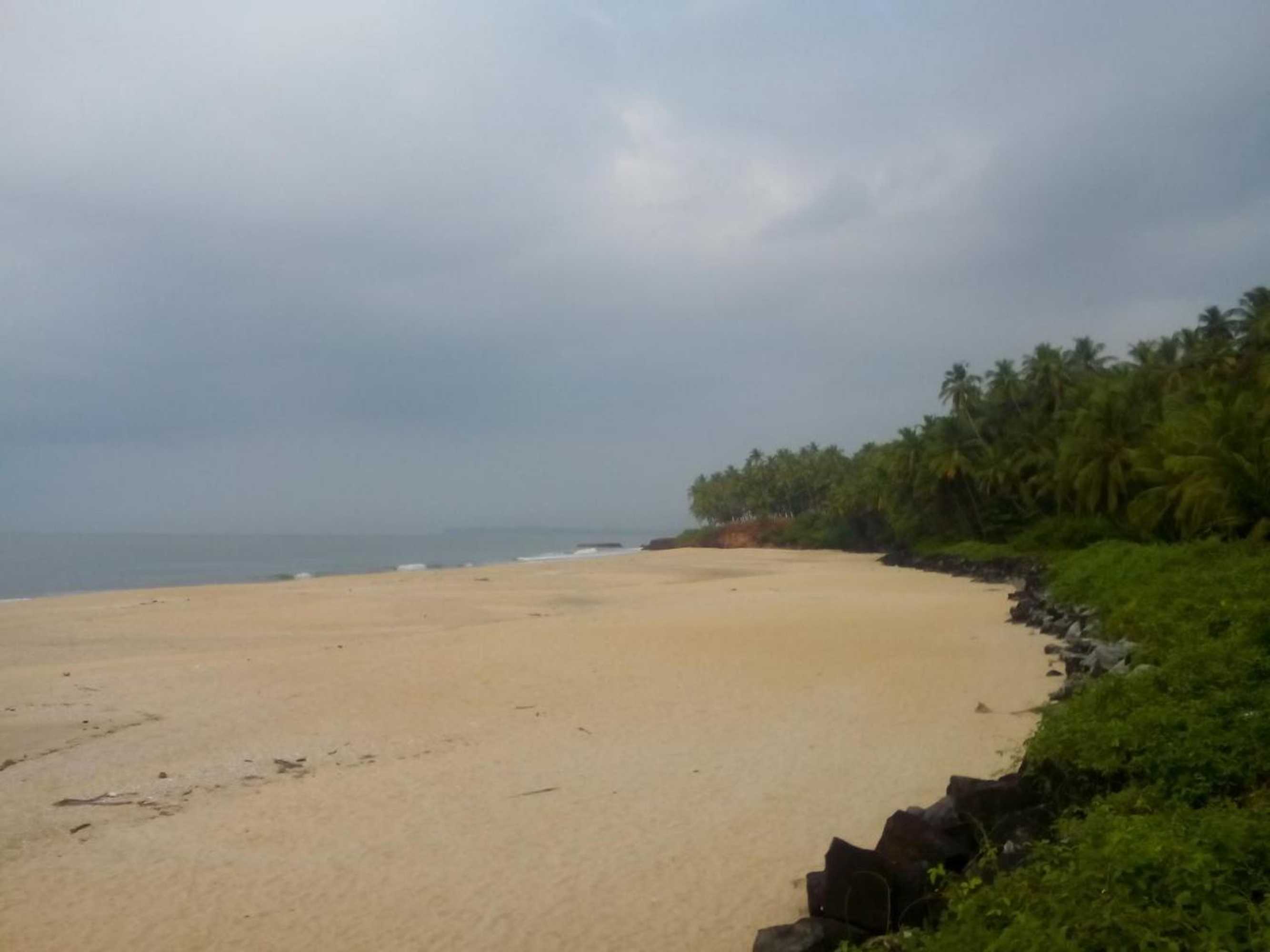 Gift card for Ivory Coaste