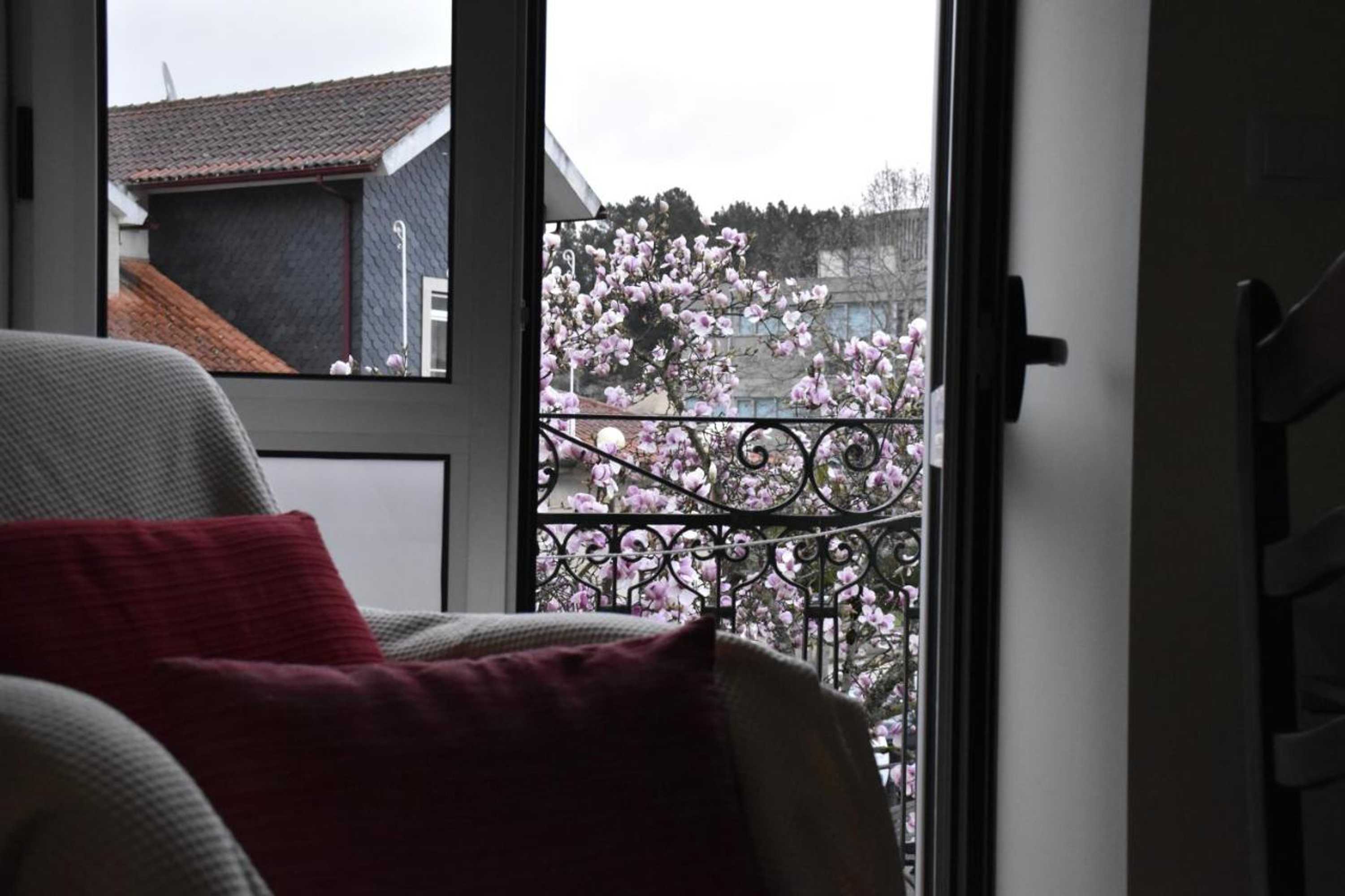 Gift card for Casa Salomão