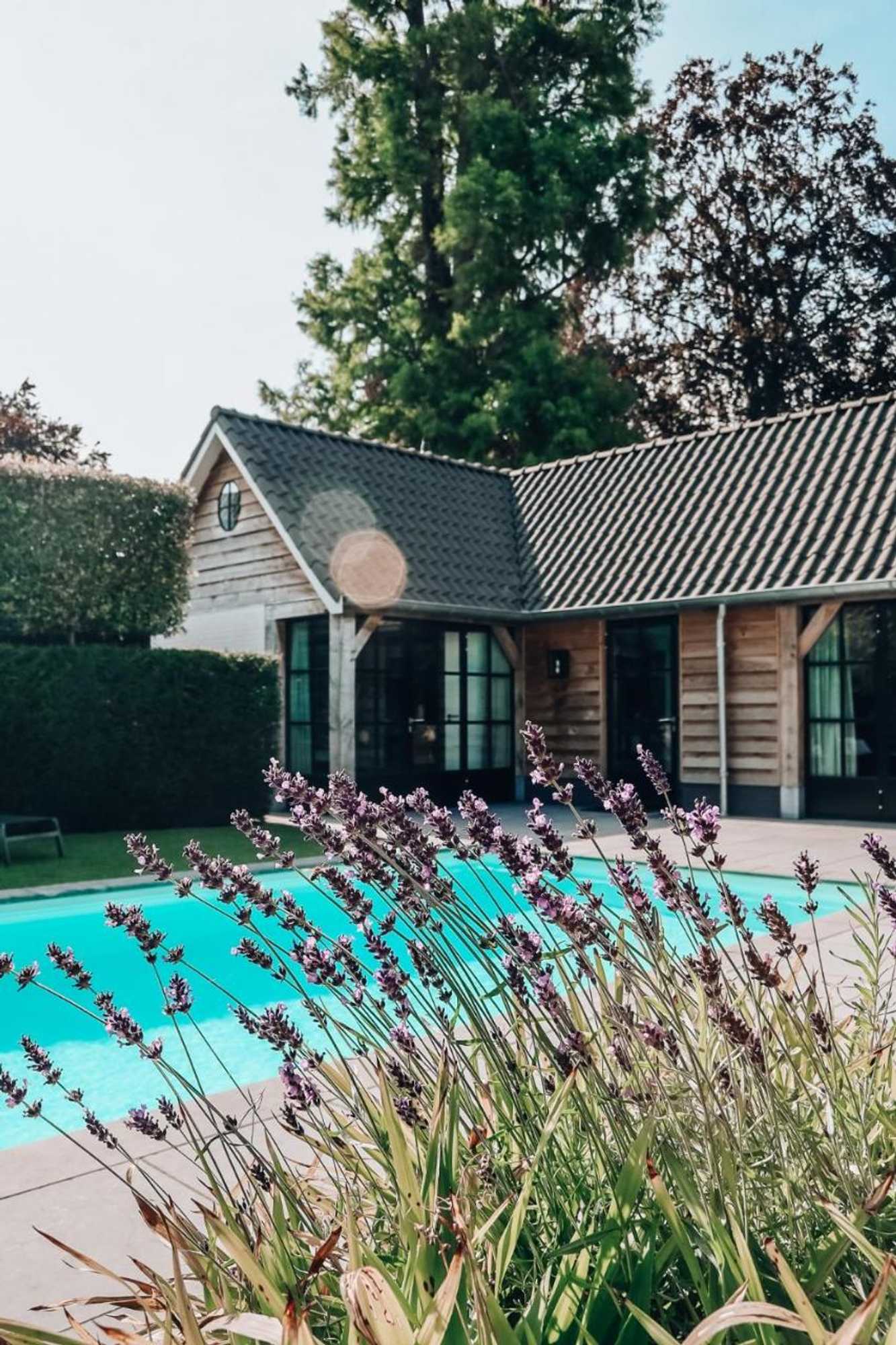 Gift card for Sjiek Basiliek