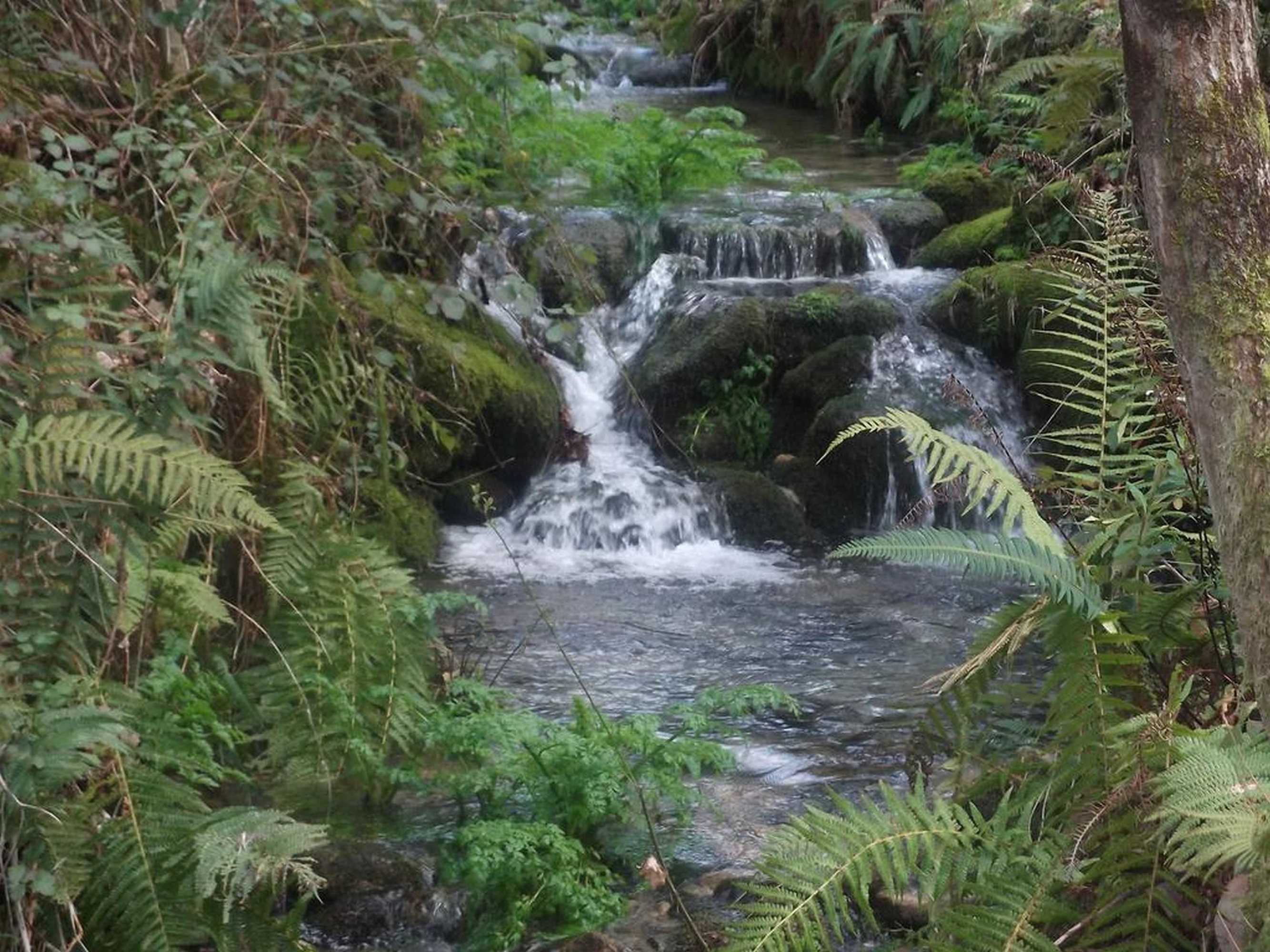 Gift card for Quinta Dos Caibrais