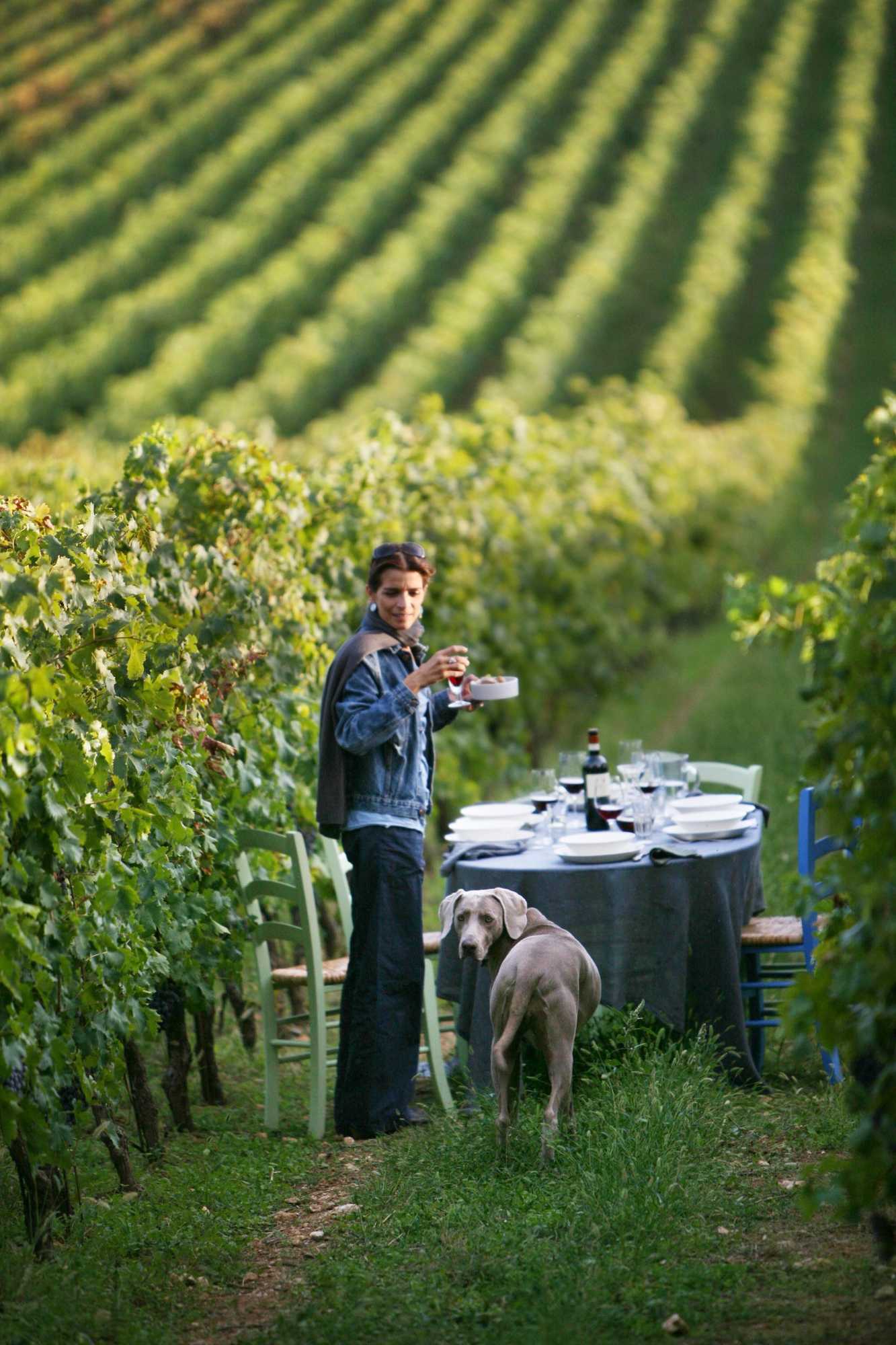 Gift card for Musella Winery & Relais Gift card for Musella Winery & Relais