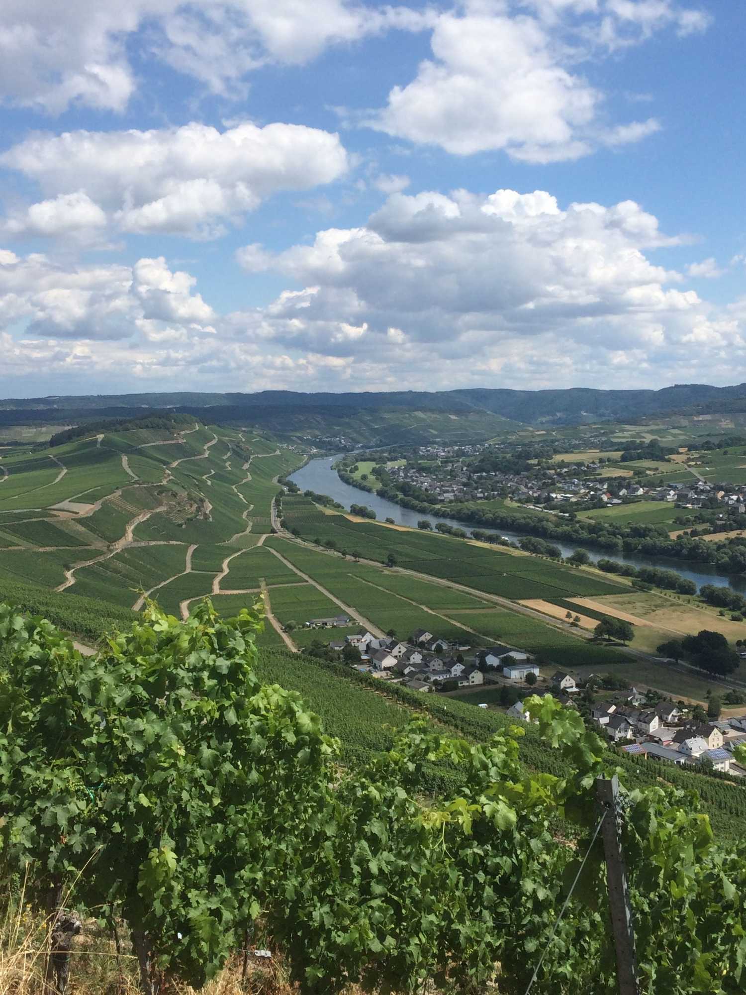 Gift card for Hotel Restaurant Zum Felsenkeller