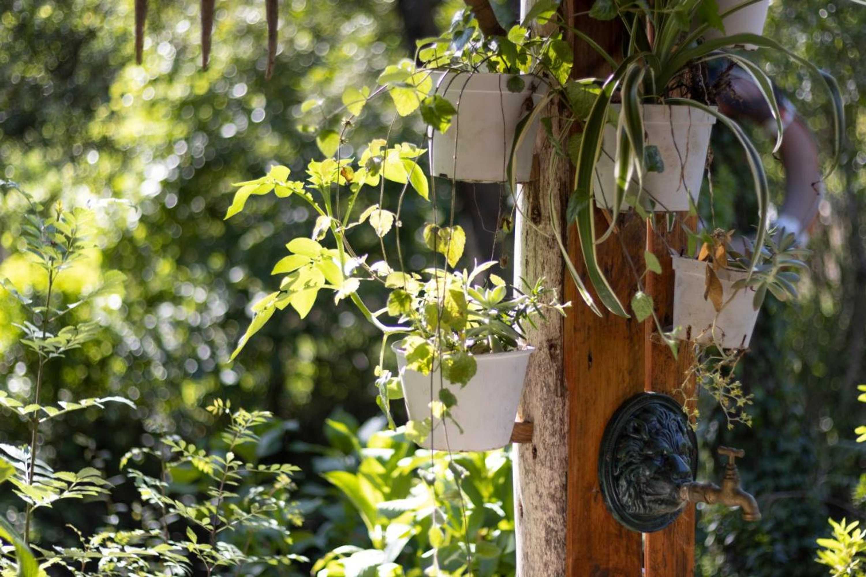 Gift card for Riba Rio - Unique Nature Spot Gift card for Riba Rio - Unique Nature Spot