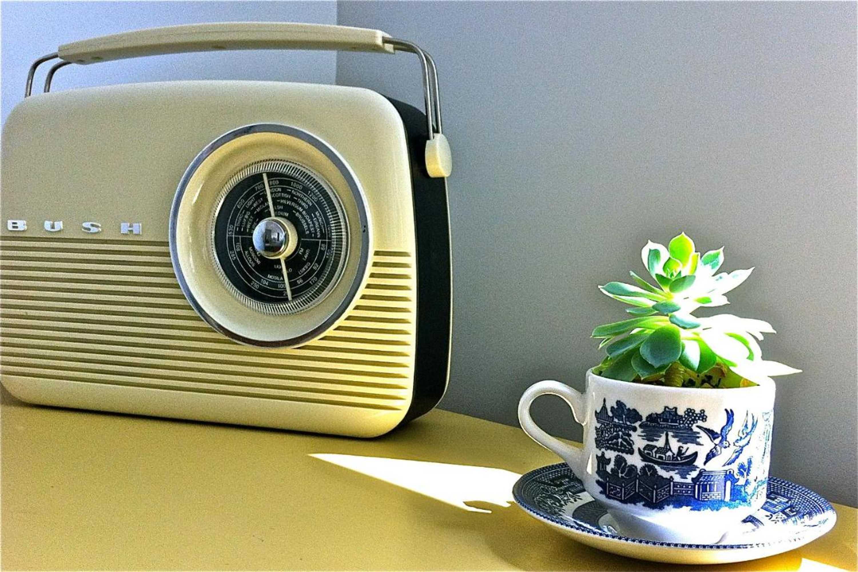 Gift card for Sea Salt Bnb