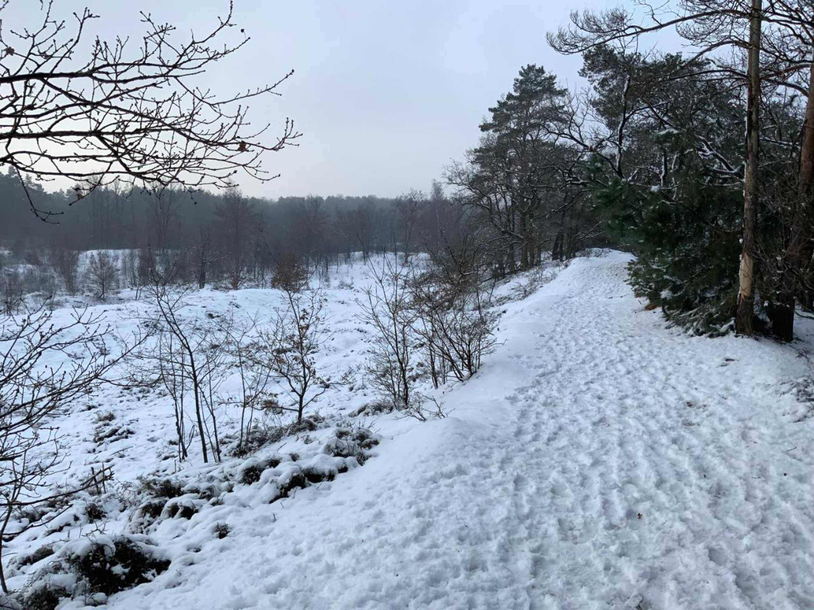 Gift card for Heidebos