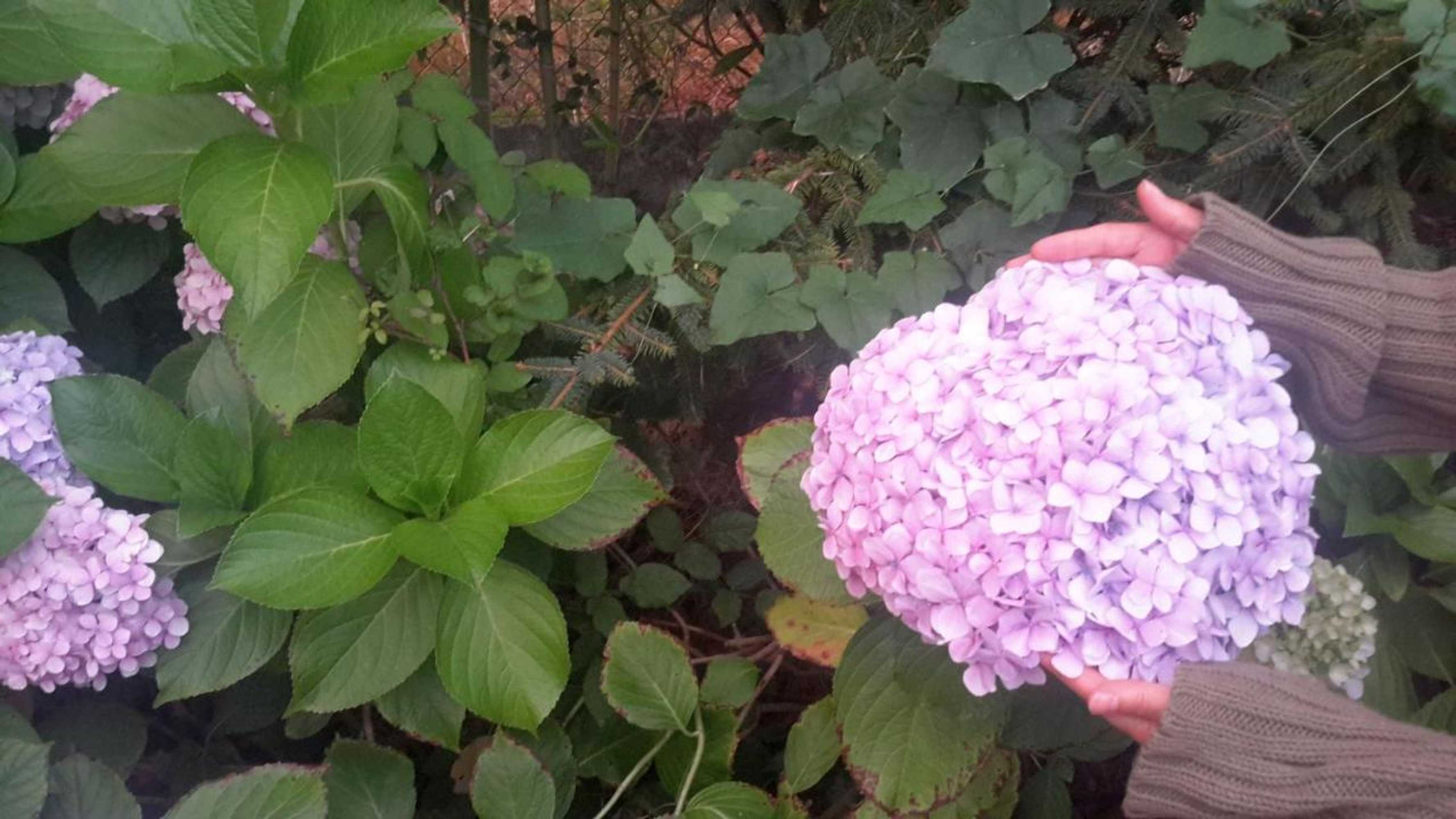 Gift card for Casa Das Três Aguias