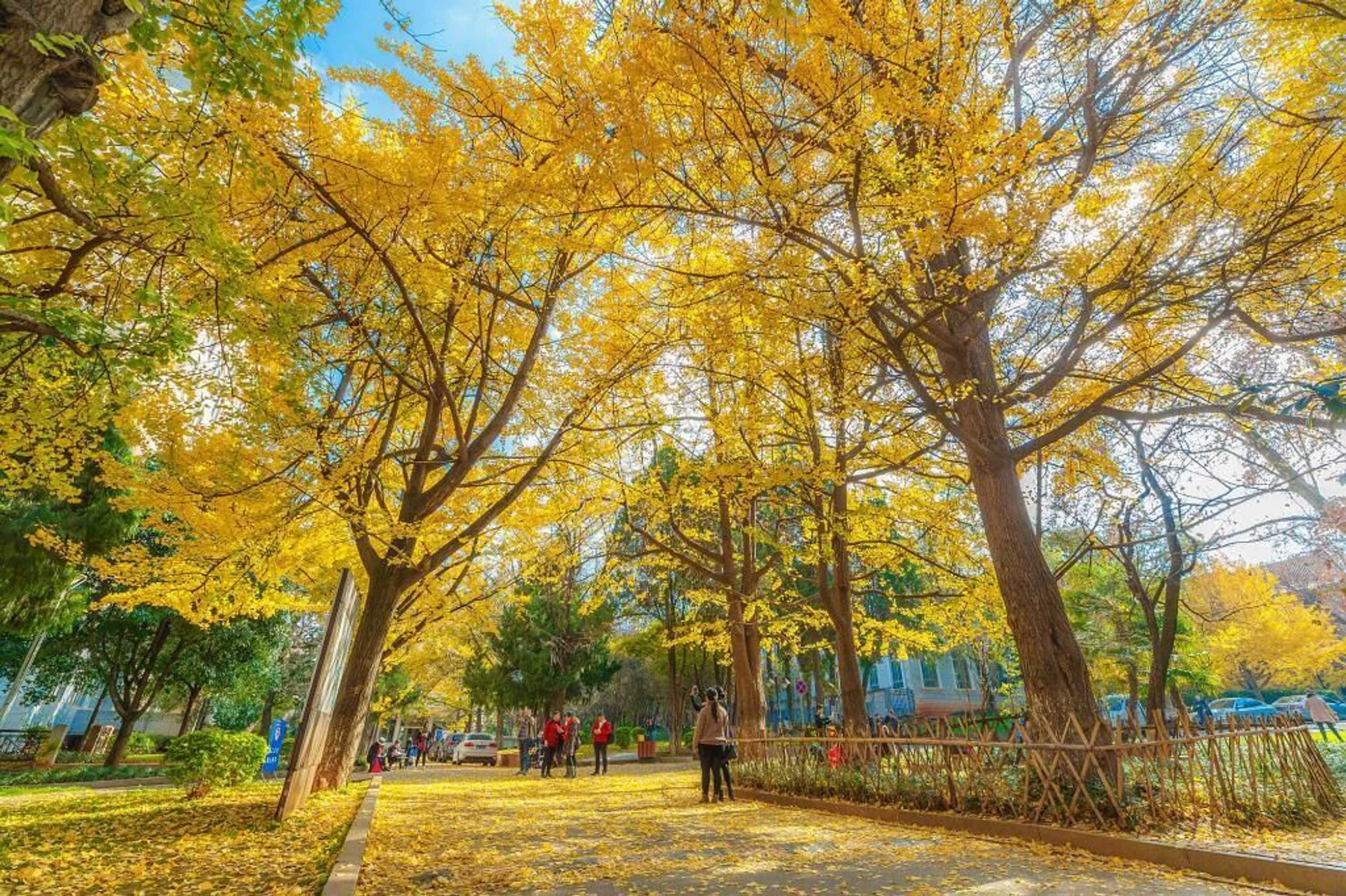 Gift card for Grand Park Kunming Gift card for Grand Park Kunming