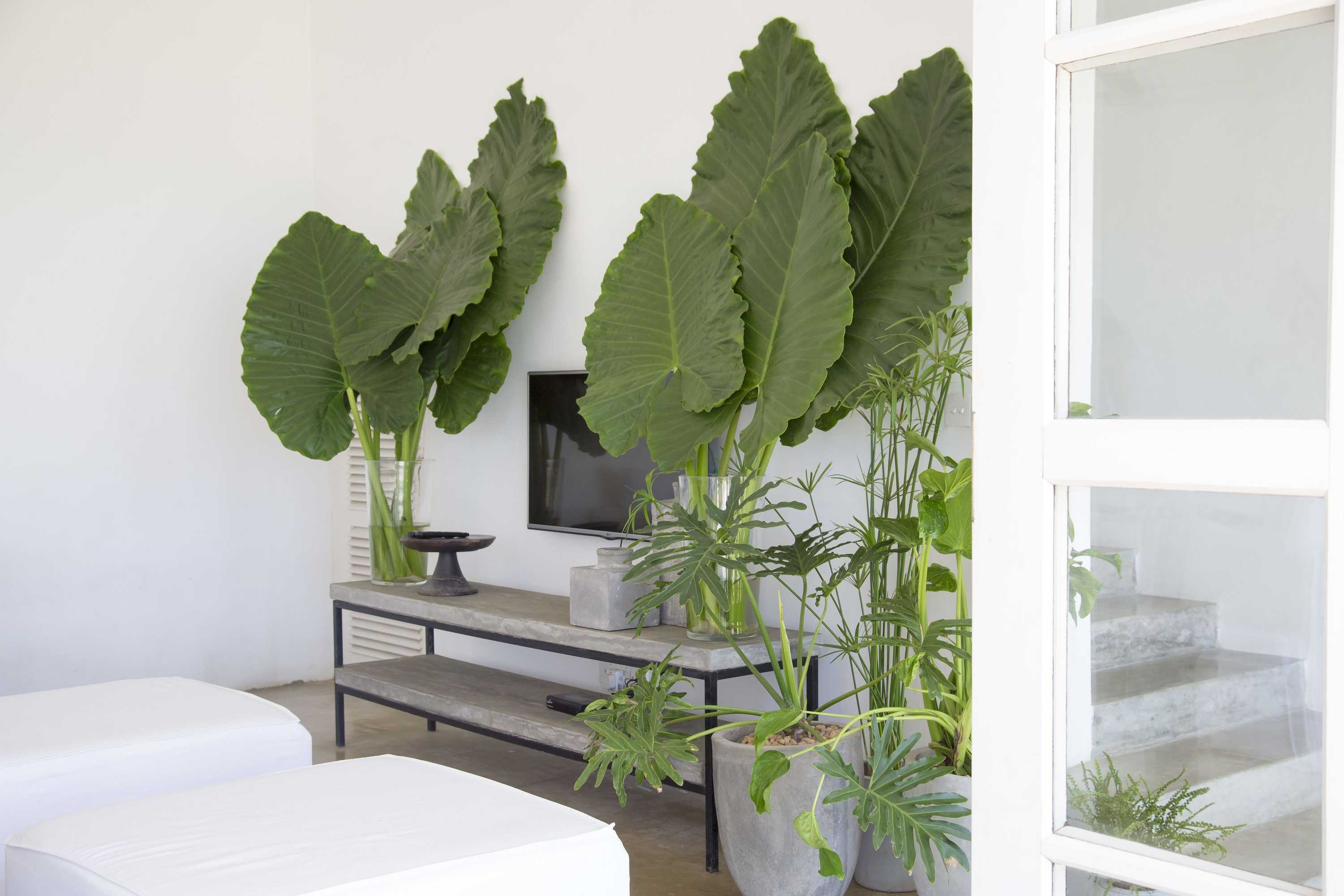 Gift card for Arabella on Boossa