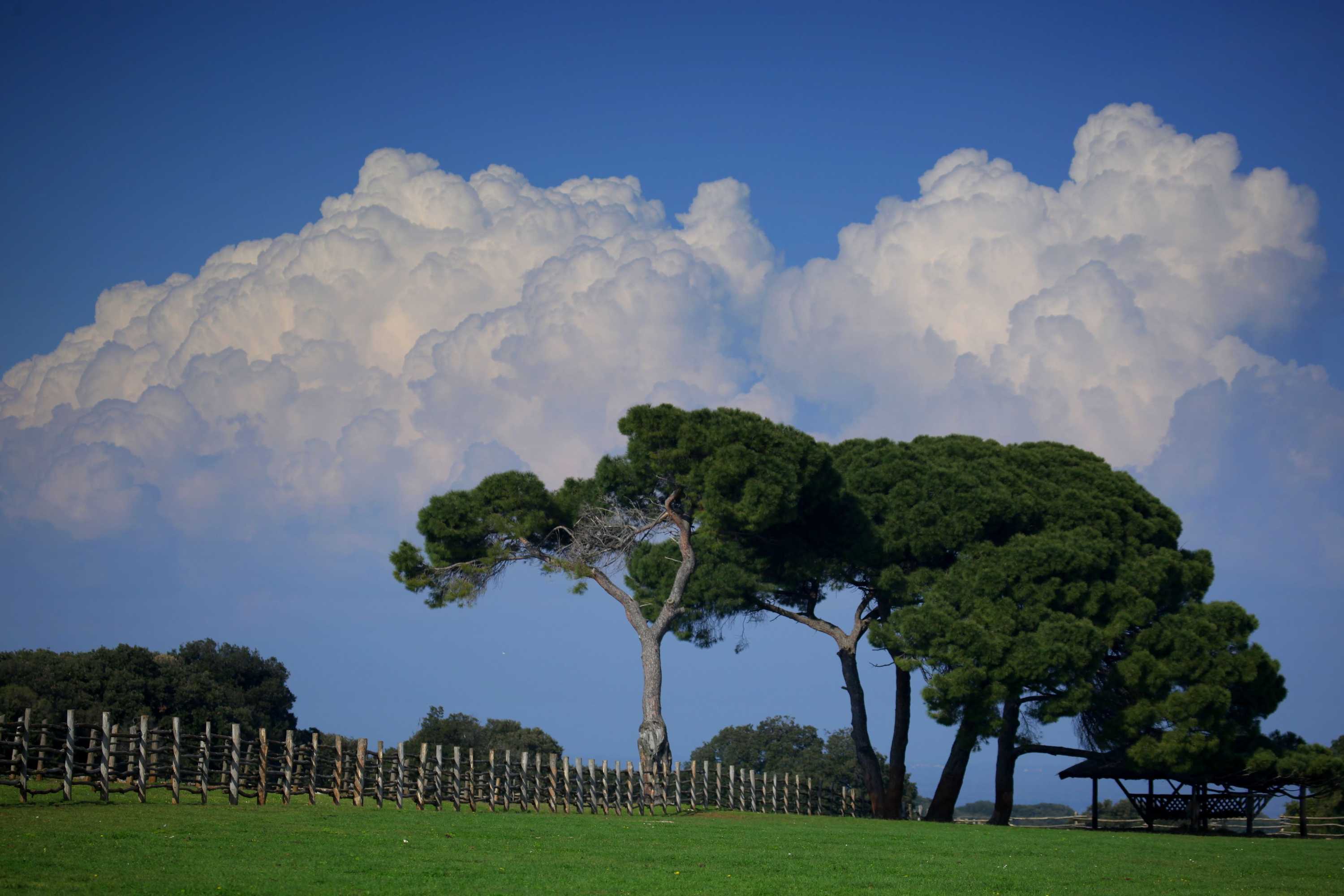 Gift card for Brijuni Hotel Neptun