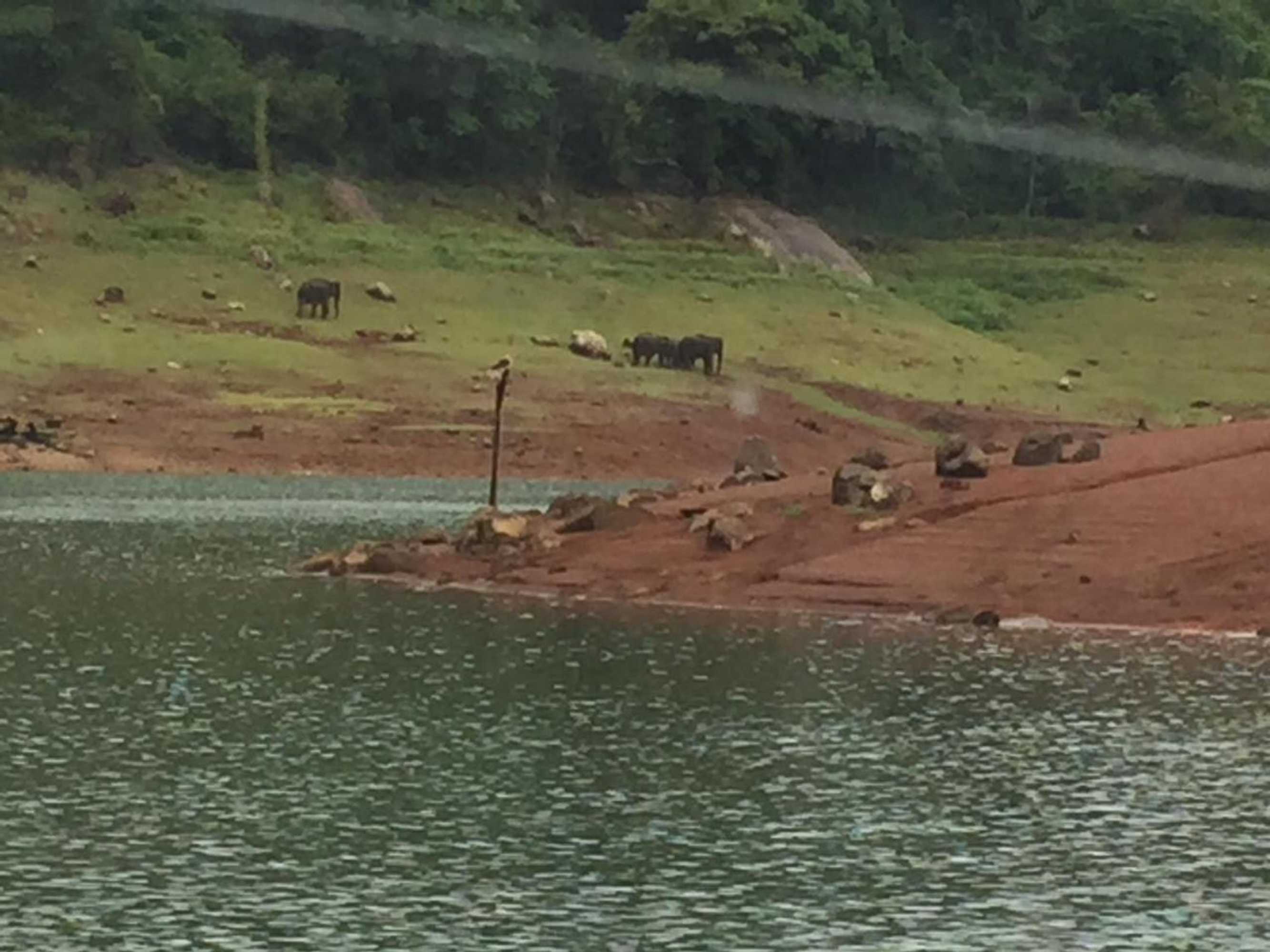 Gift card for Kandamath Heritage Resort