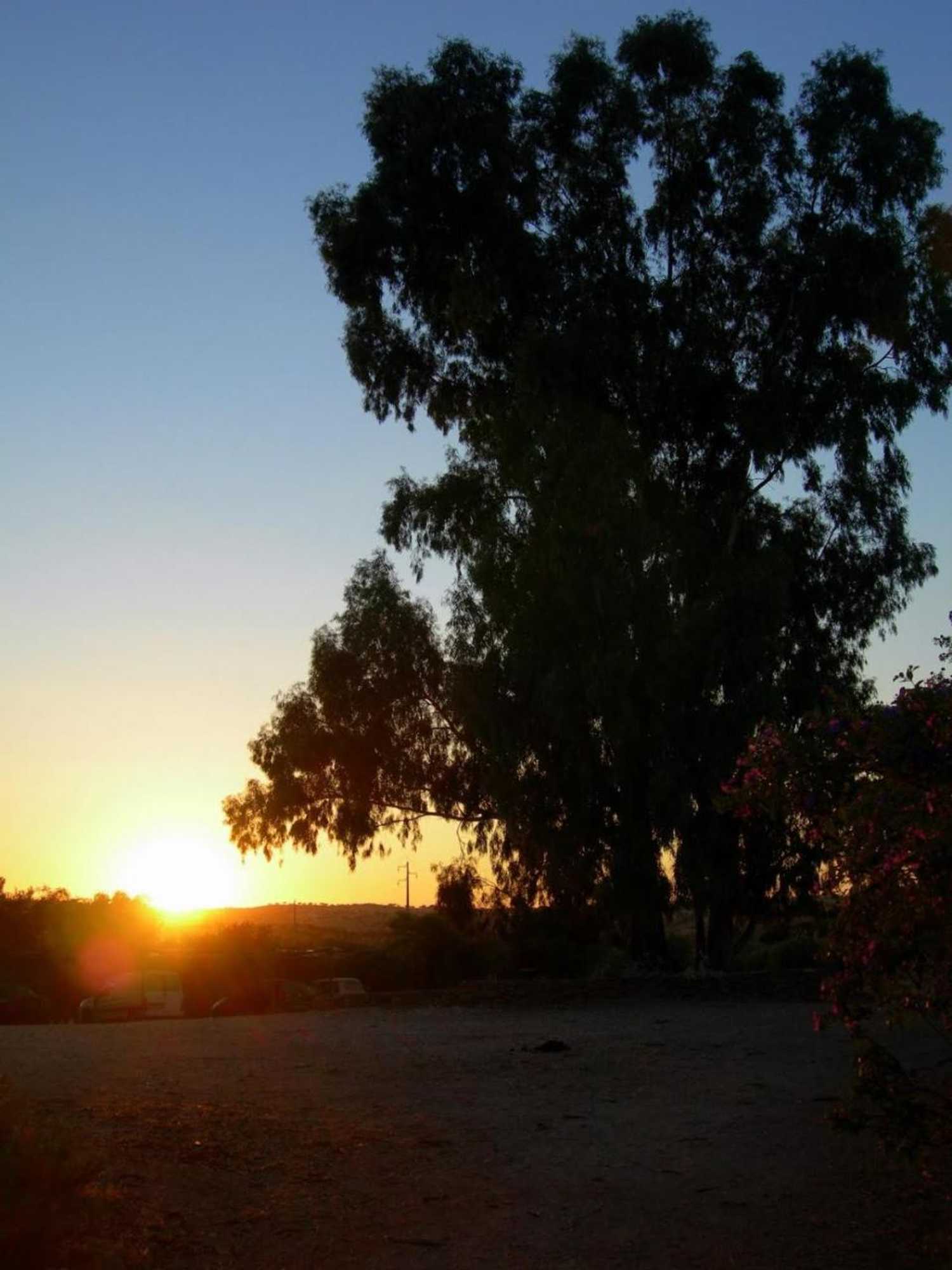 Gift card for Herdade Do Monte Outeiro