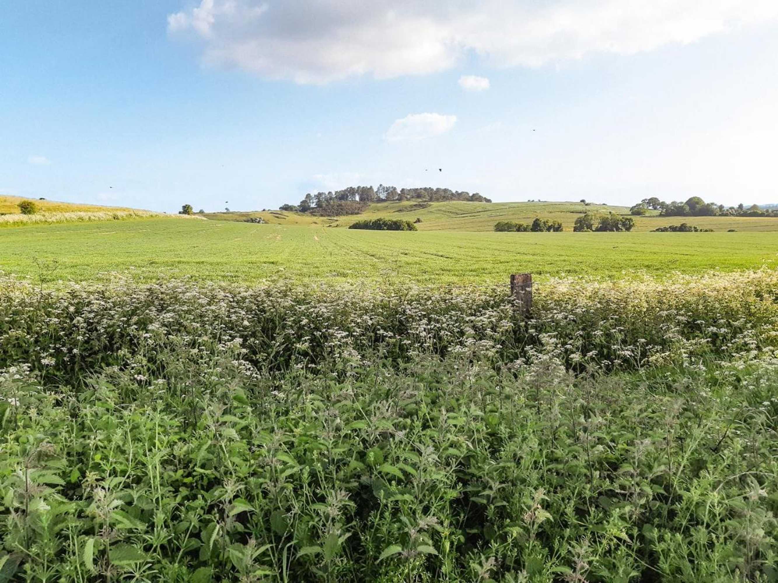 Gift card for Whitey Top Lodge