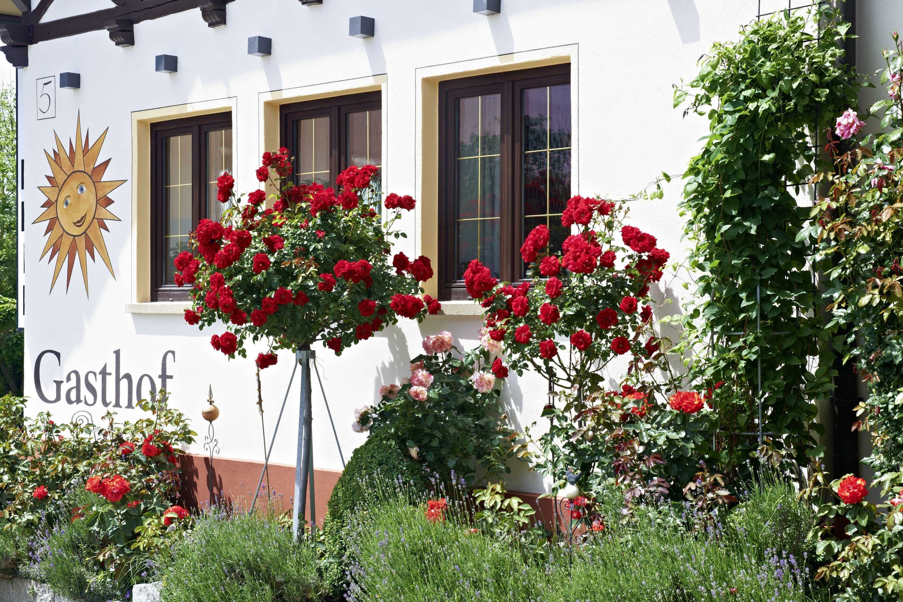 Gift card for Gasthof Zur Sonne