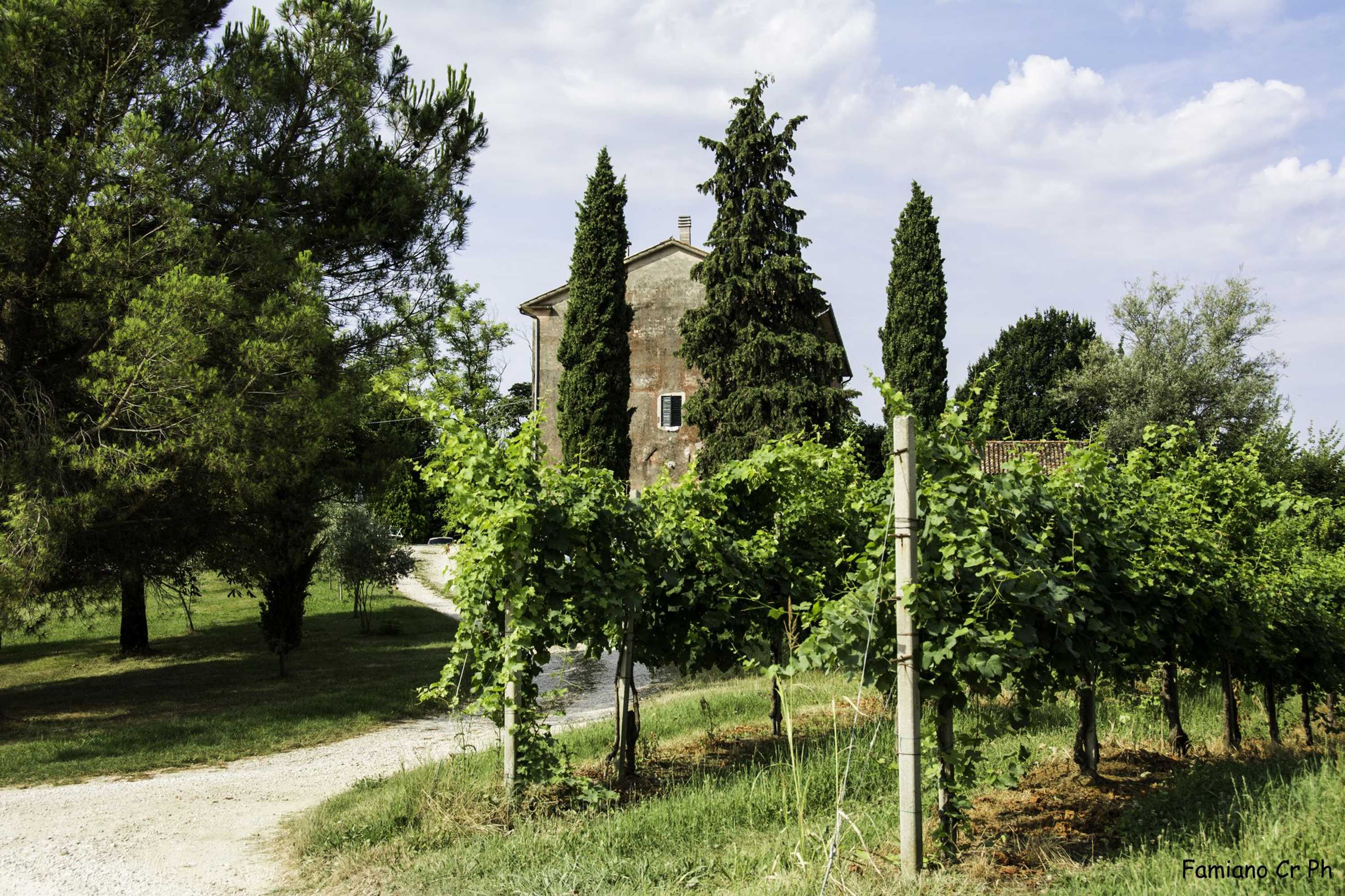 Gift card for Agriturismo Le Spezie Gift card for Agriturismo Le Spezie