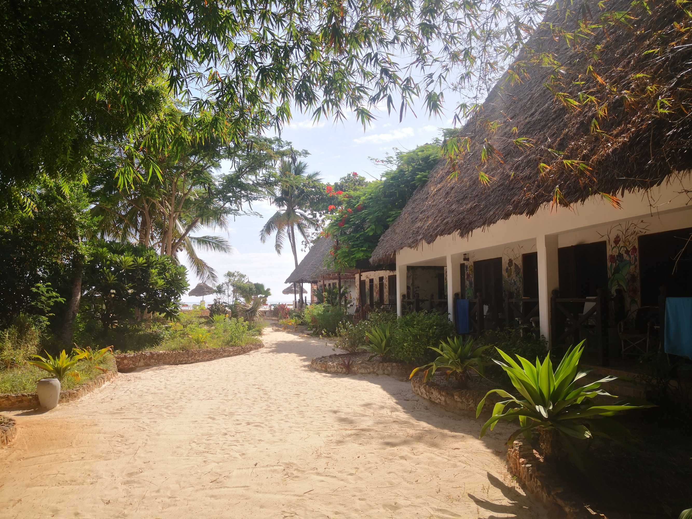 Gift card for Mambo Ocean Resort Gift card for Mambo Ocean Resort