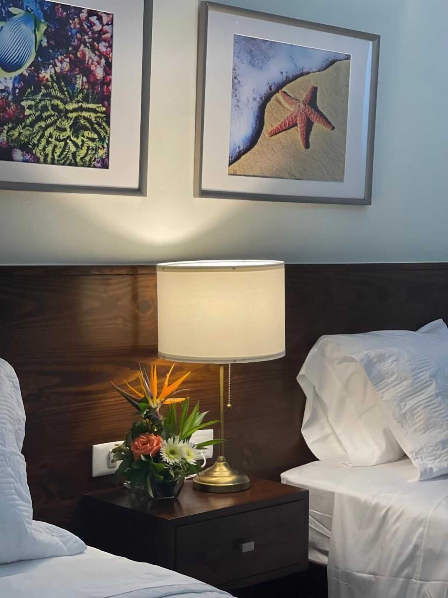 Gift card for Halibut Hotel Gift card for Halibut Hotel
