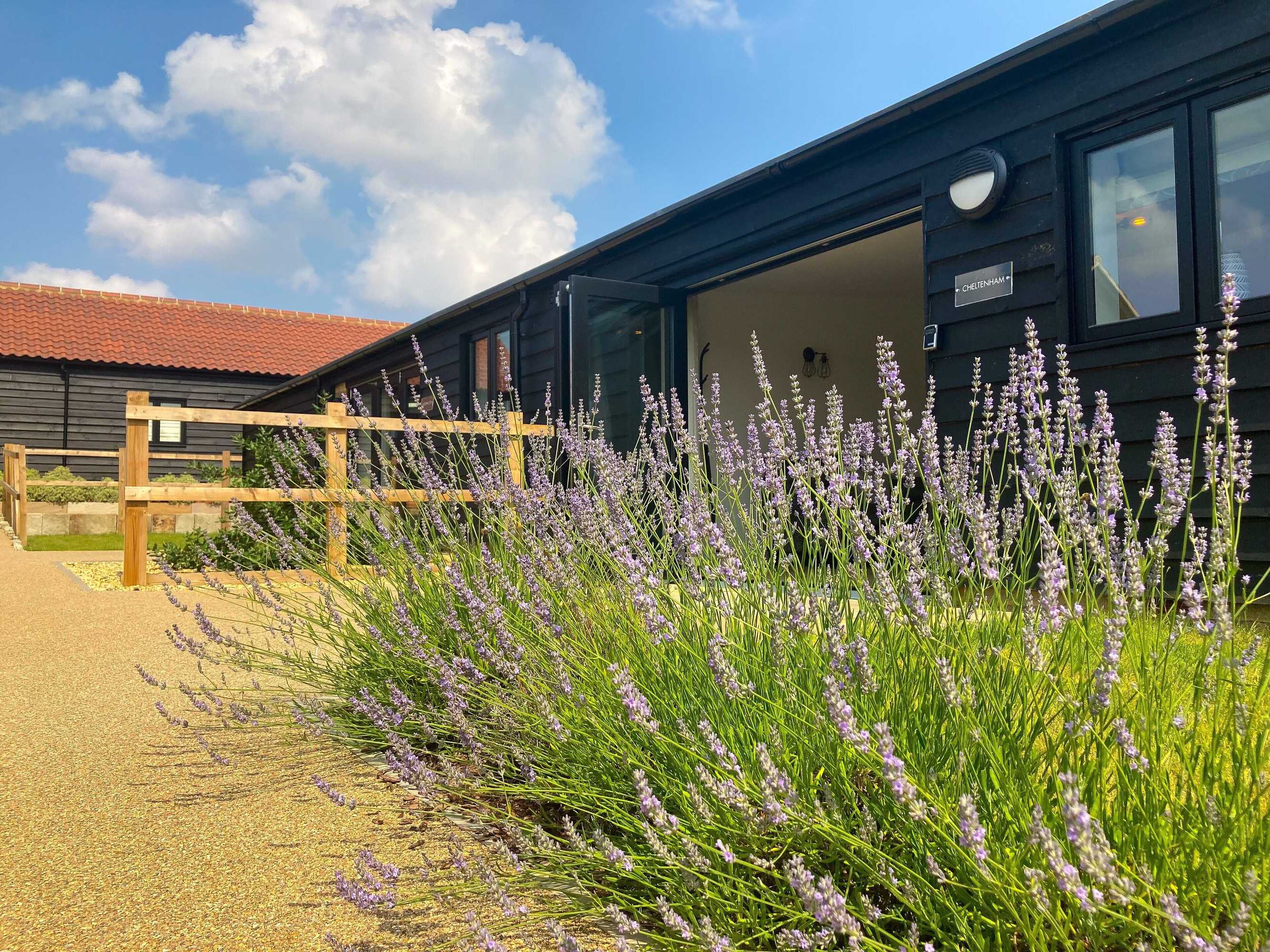 Gift card for The Yard @ Pringle Farm