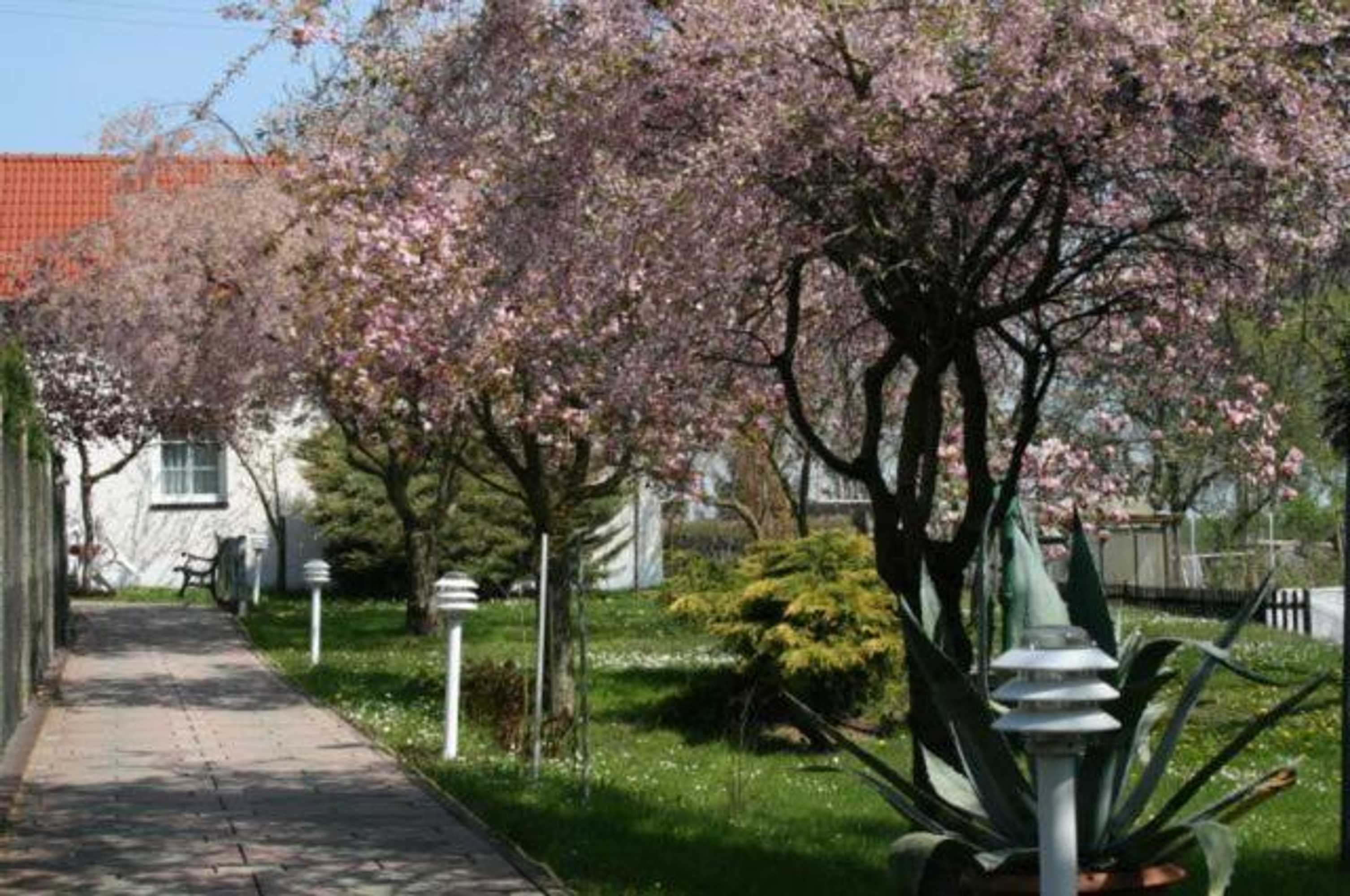 Gift card for Familienhotel Zur Linde