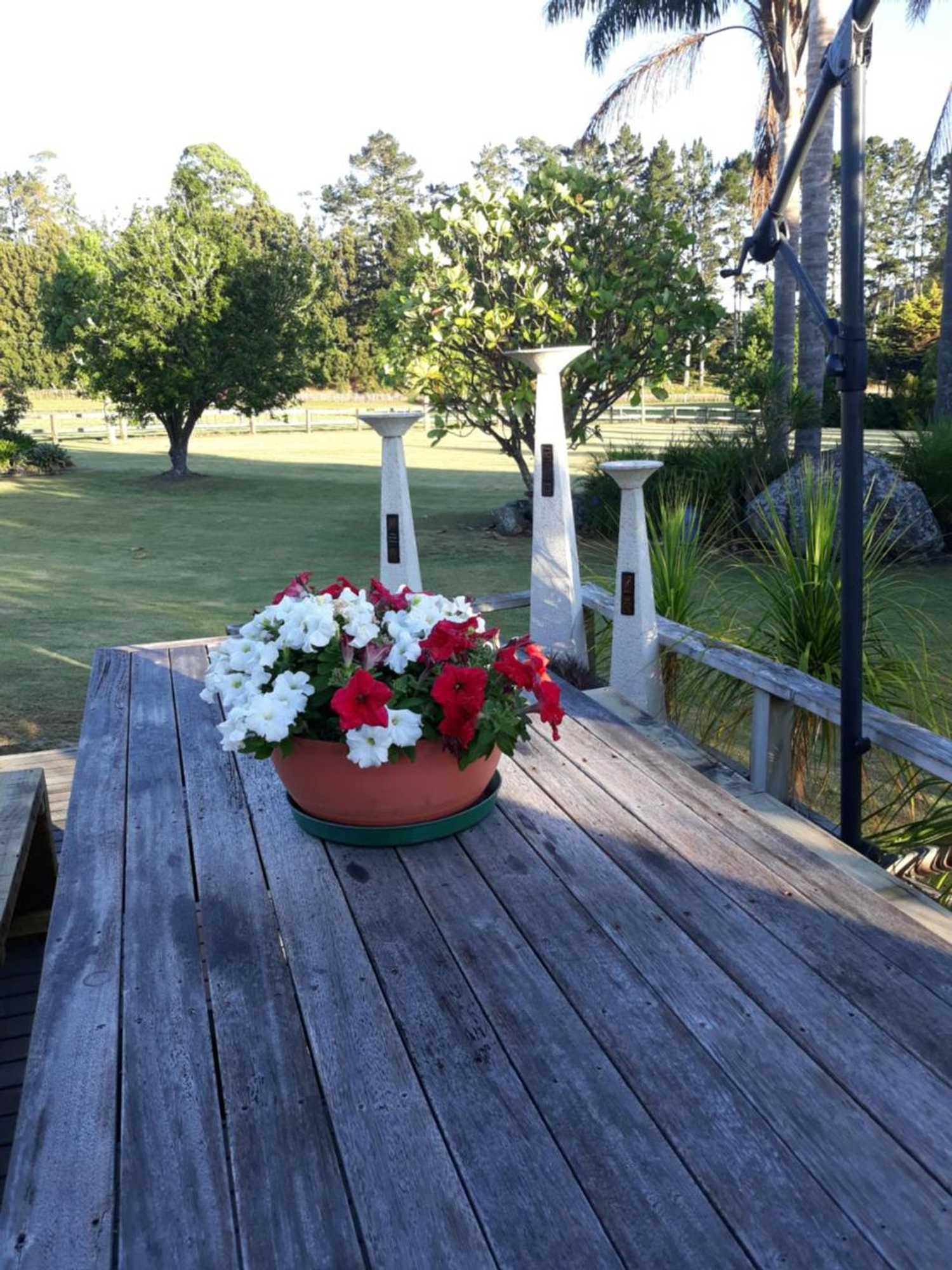 Gift card for Rural Palms