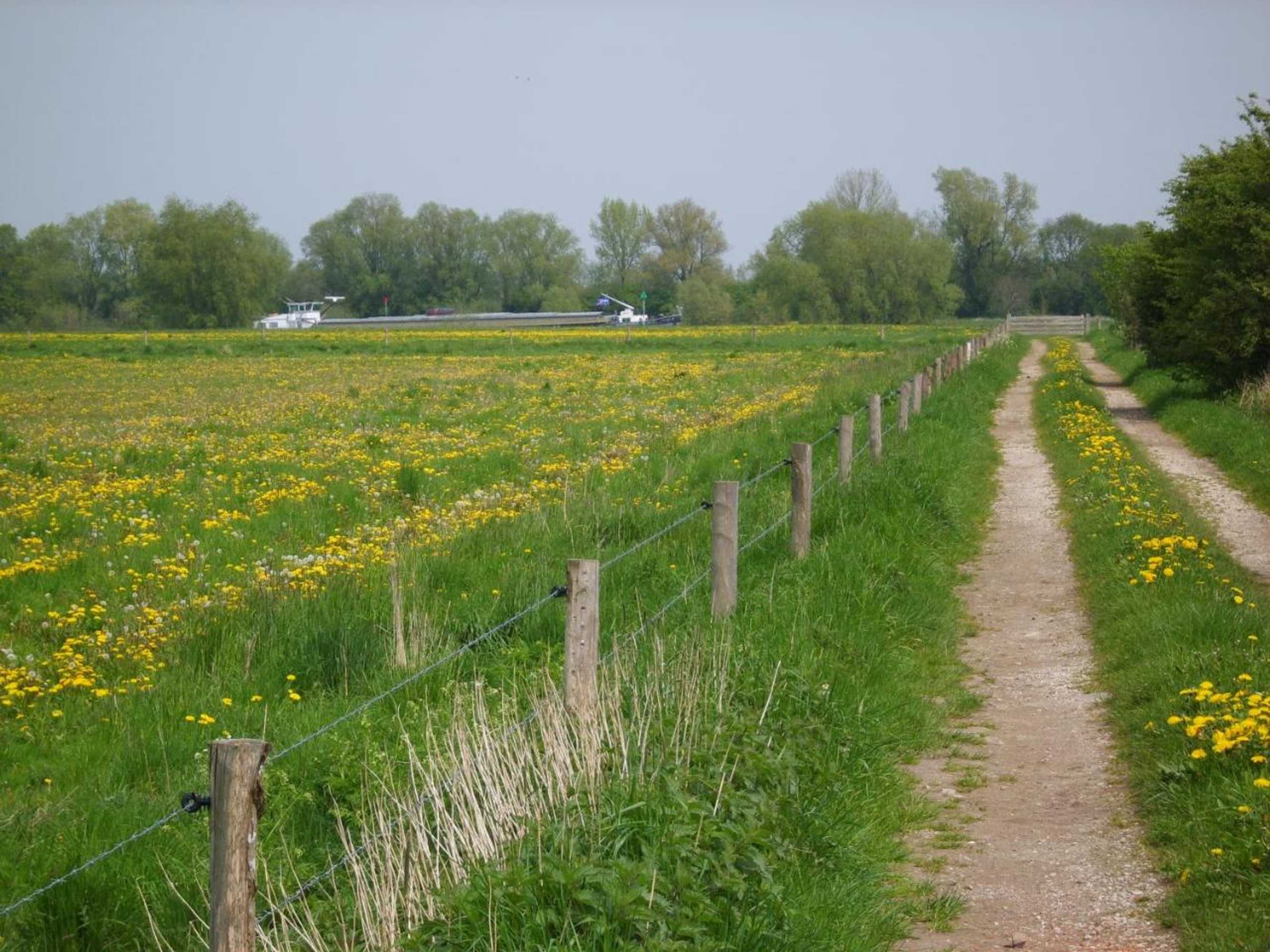 Gift card for Bed And Breakfast 't Kruushuus