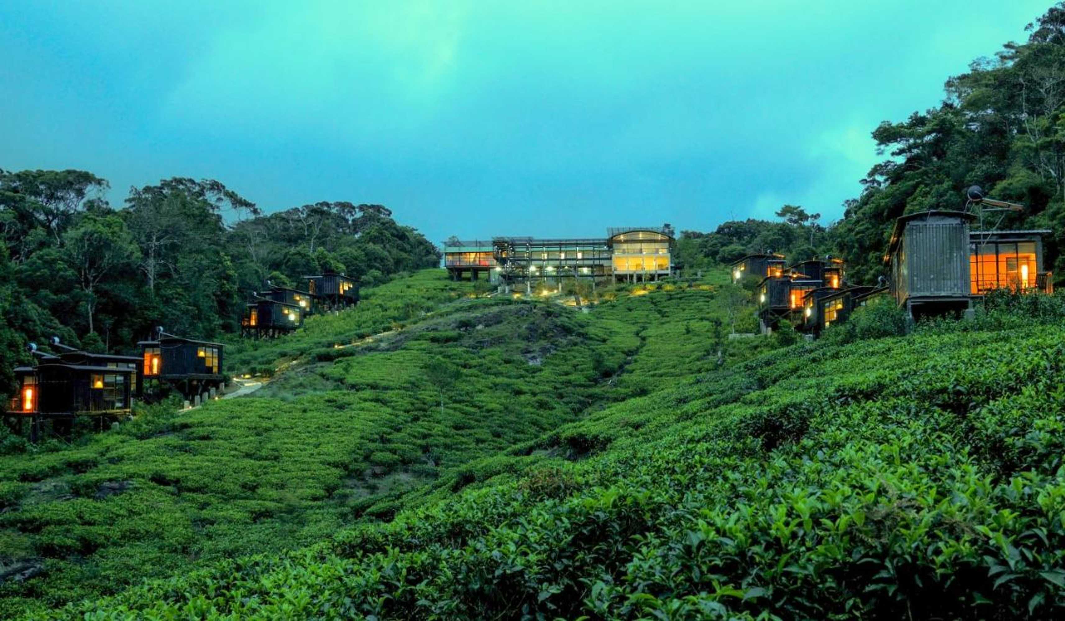 Gift card for The Rainforest Ecolodge - Sinharaja With Shuttle Service From Car Park Gift card for The Rainforest Ecolodge - Sinharaja With Shuttle Service From Car Park