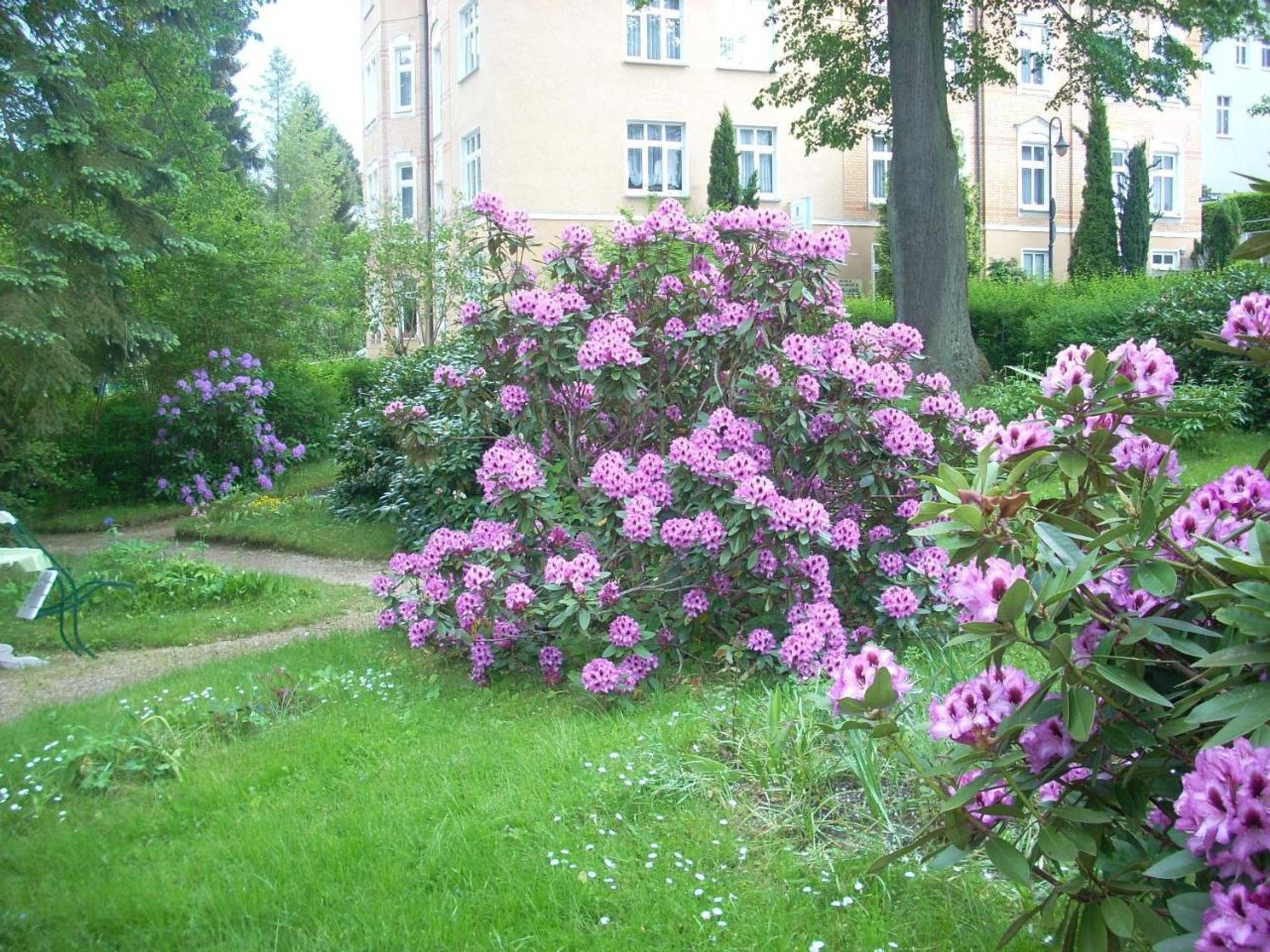 Gift card for Kurheim Haus Linde