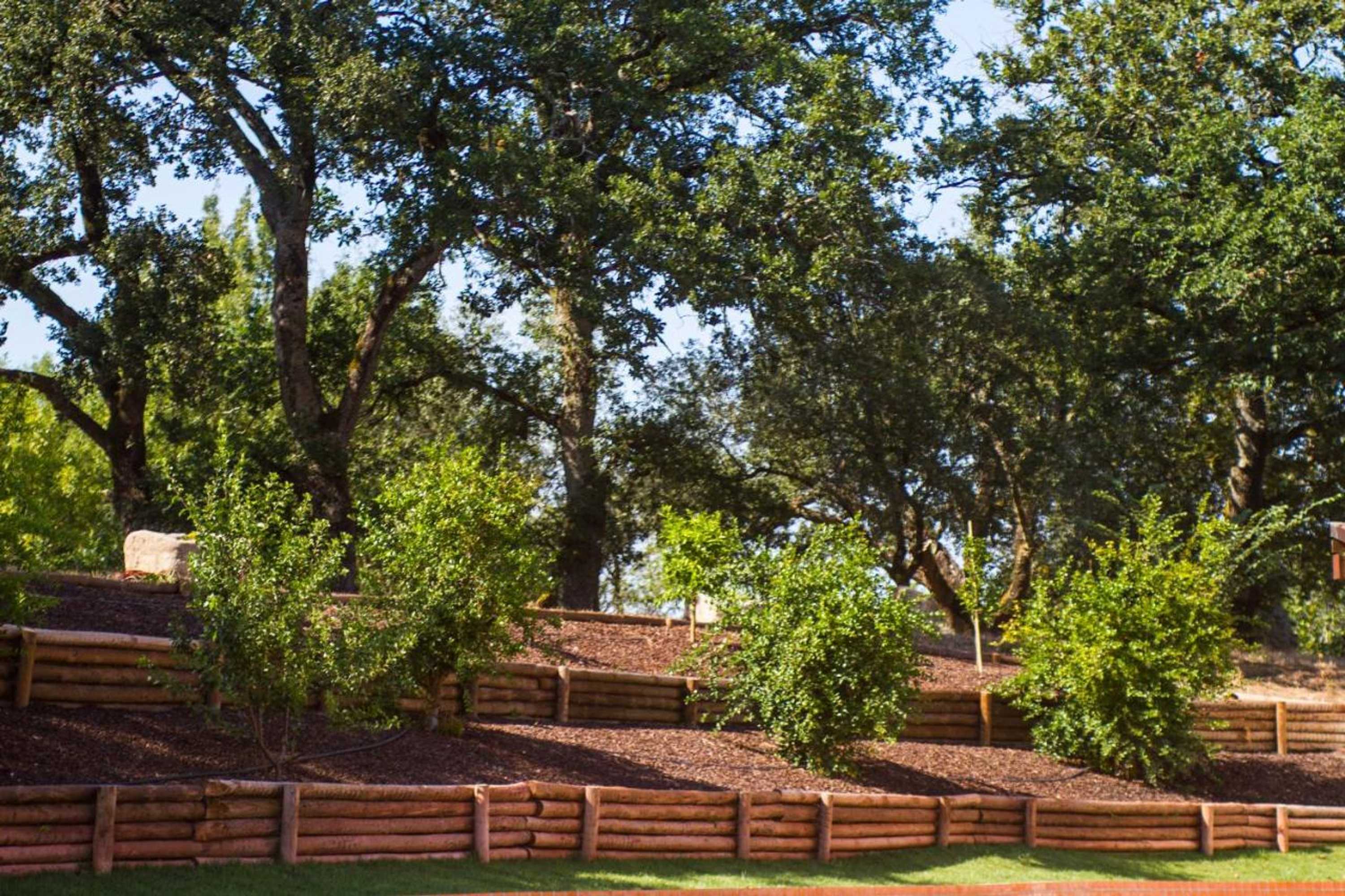 Gift card for Quinta de Lograssol