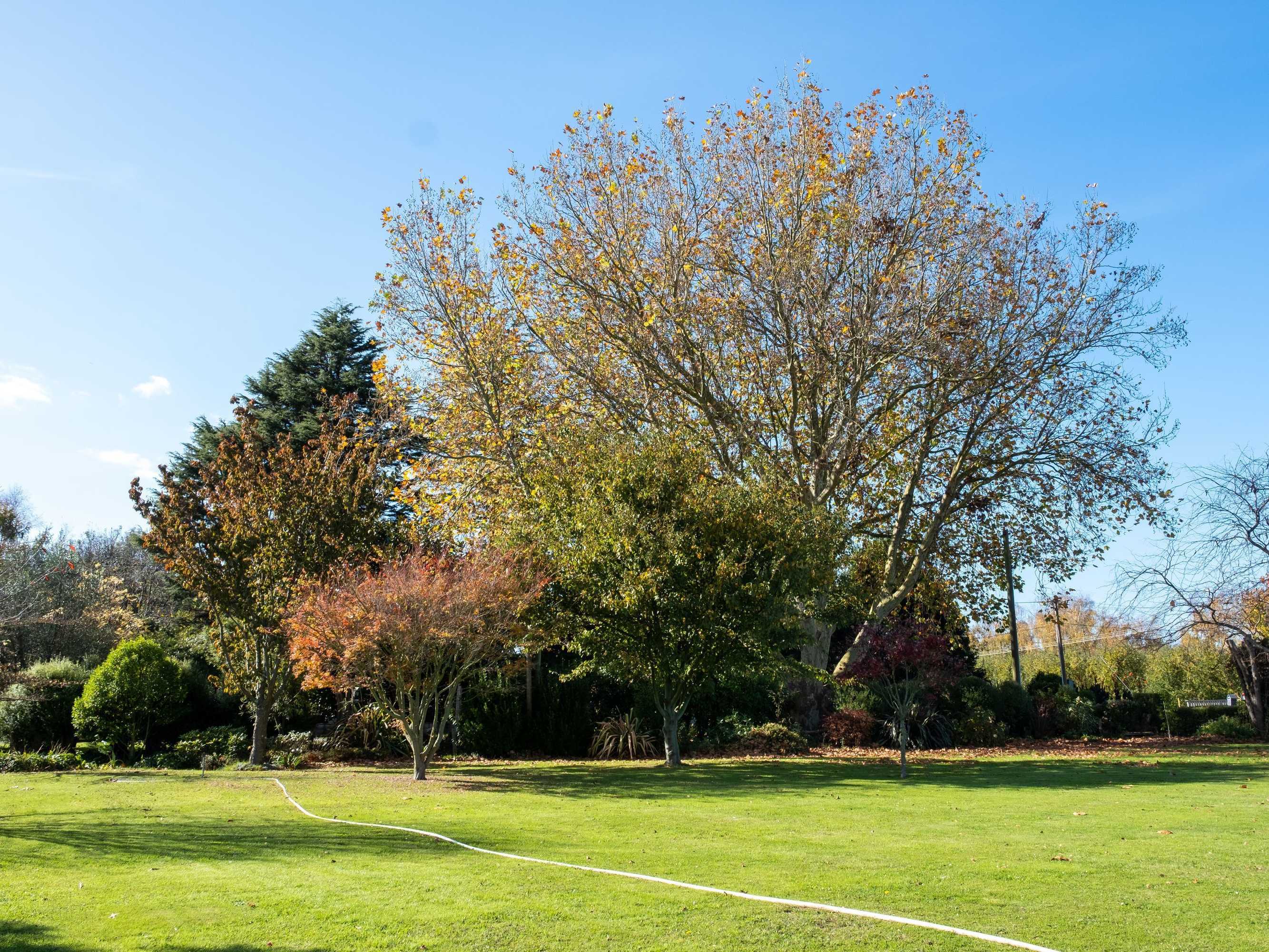 Gift card for Amuri Villas