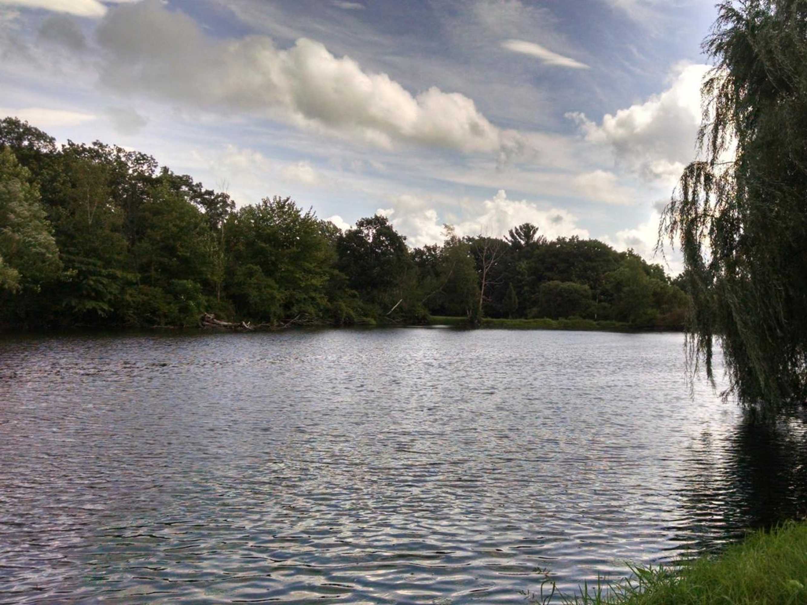 Gift card for The Bavarian Manor Hotel