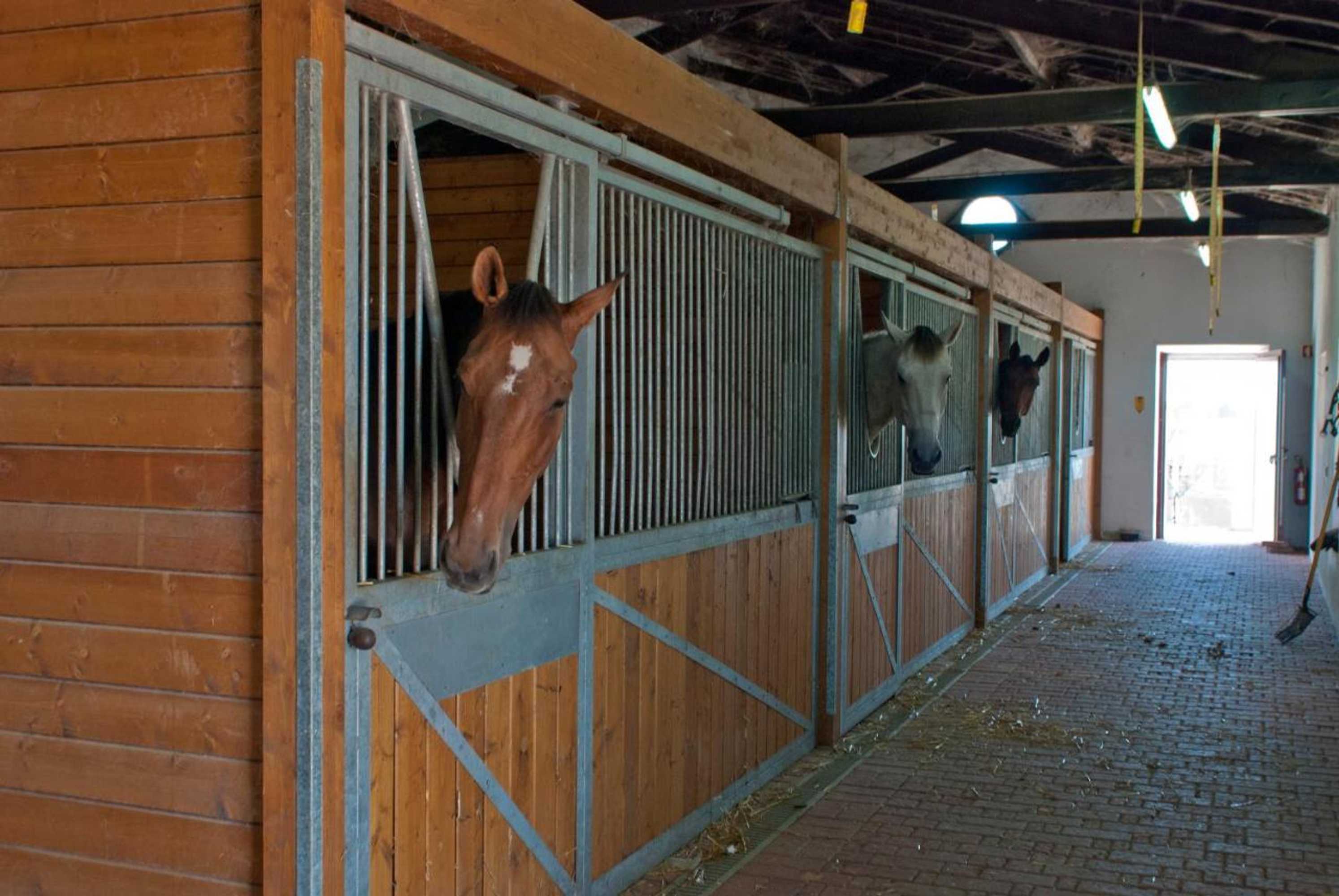 Gift card for Quinta da Gafaria