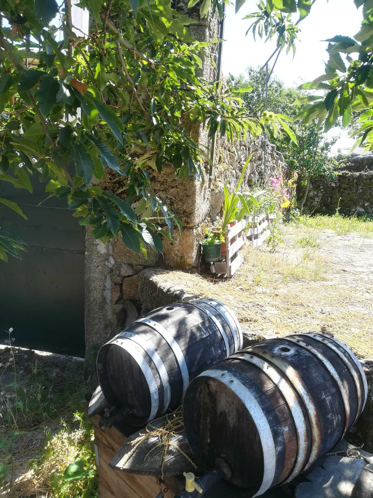 Gift card for Solar Dos Carvalhos