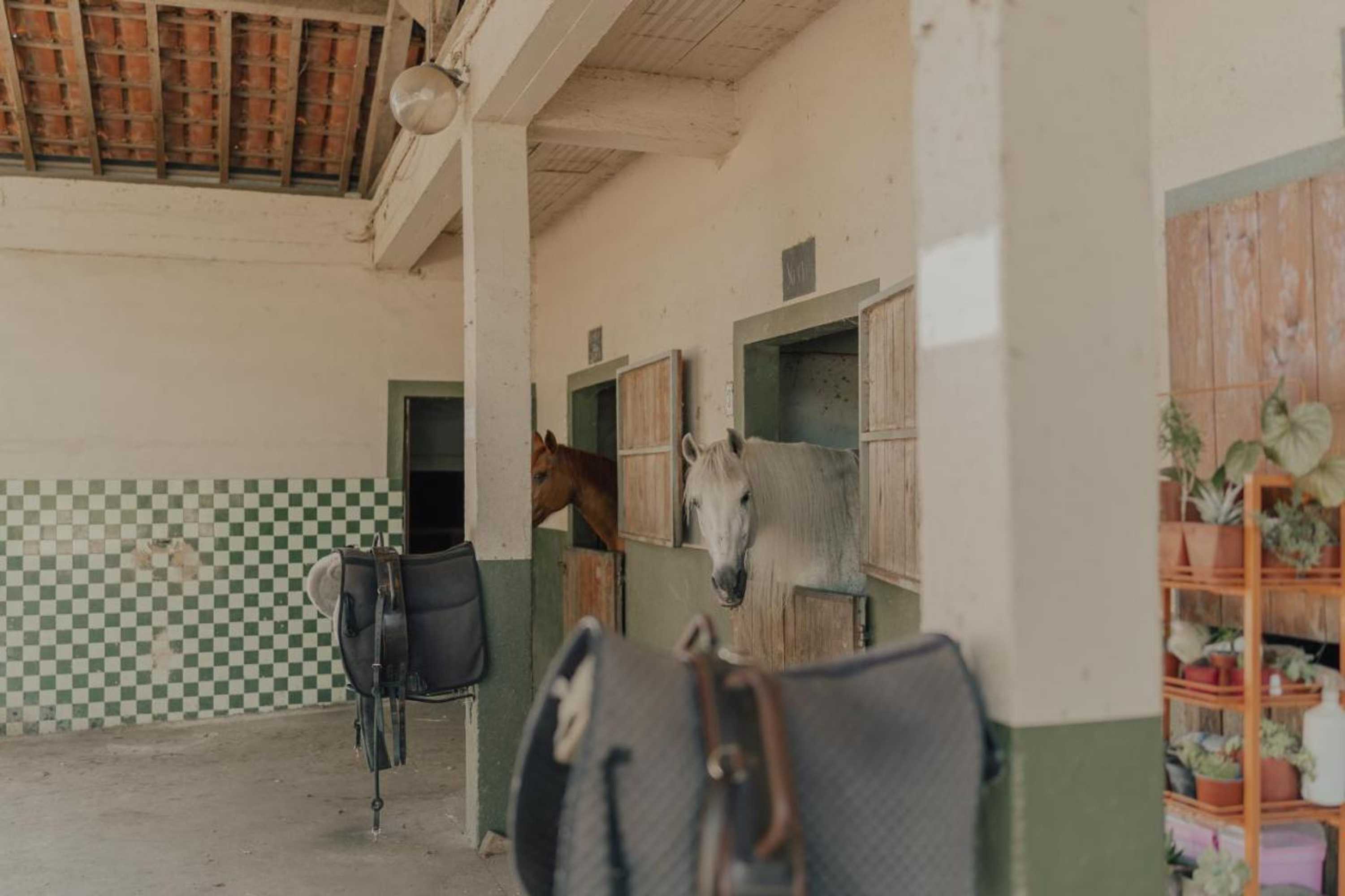 Gift card for Quinta do Pinheiro Hotel E Eventos by Grupo Quinta Dos Lagos