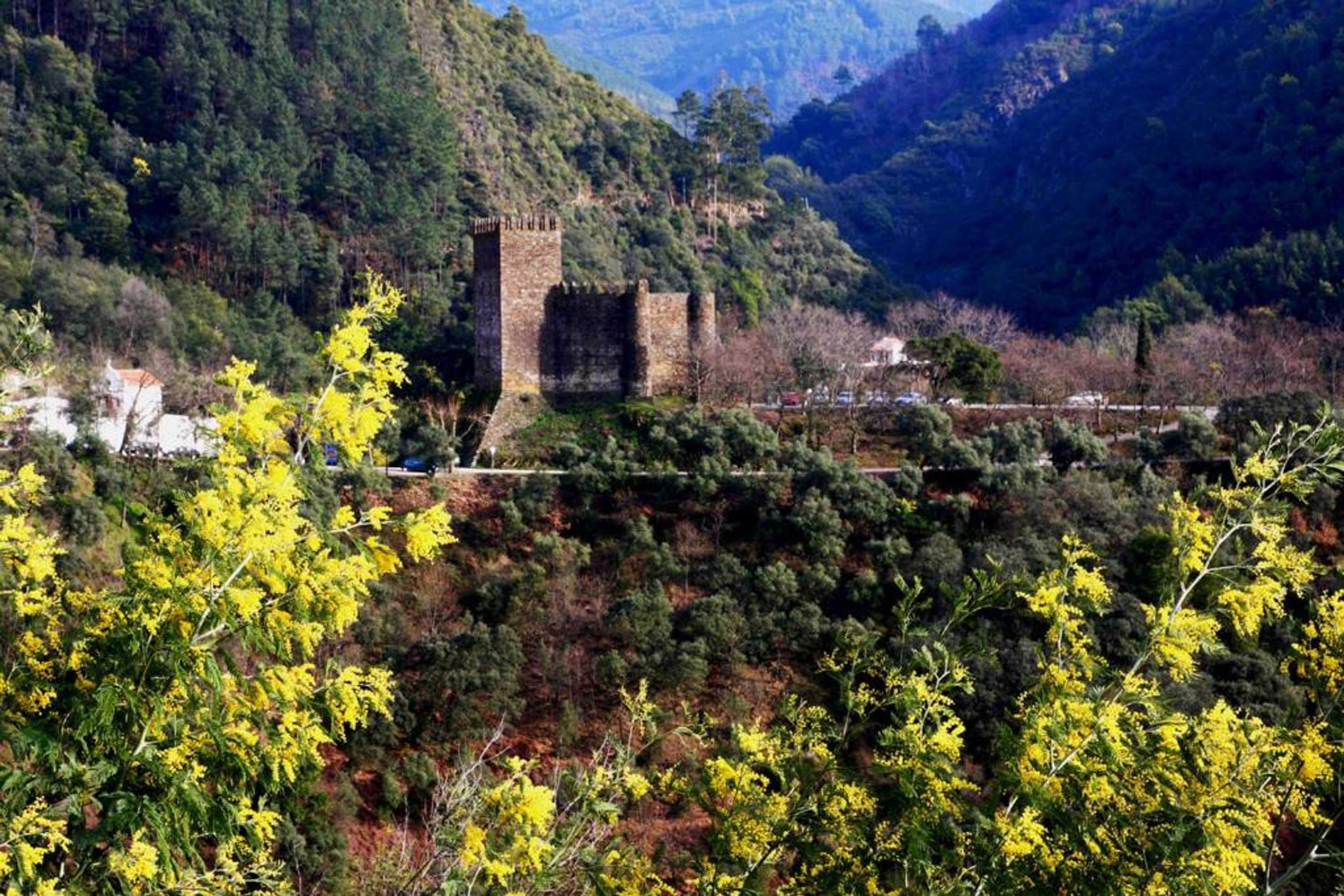 Gift card for Vivenda Pirilampo