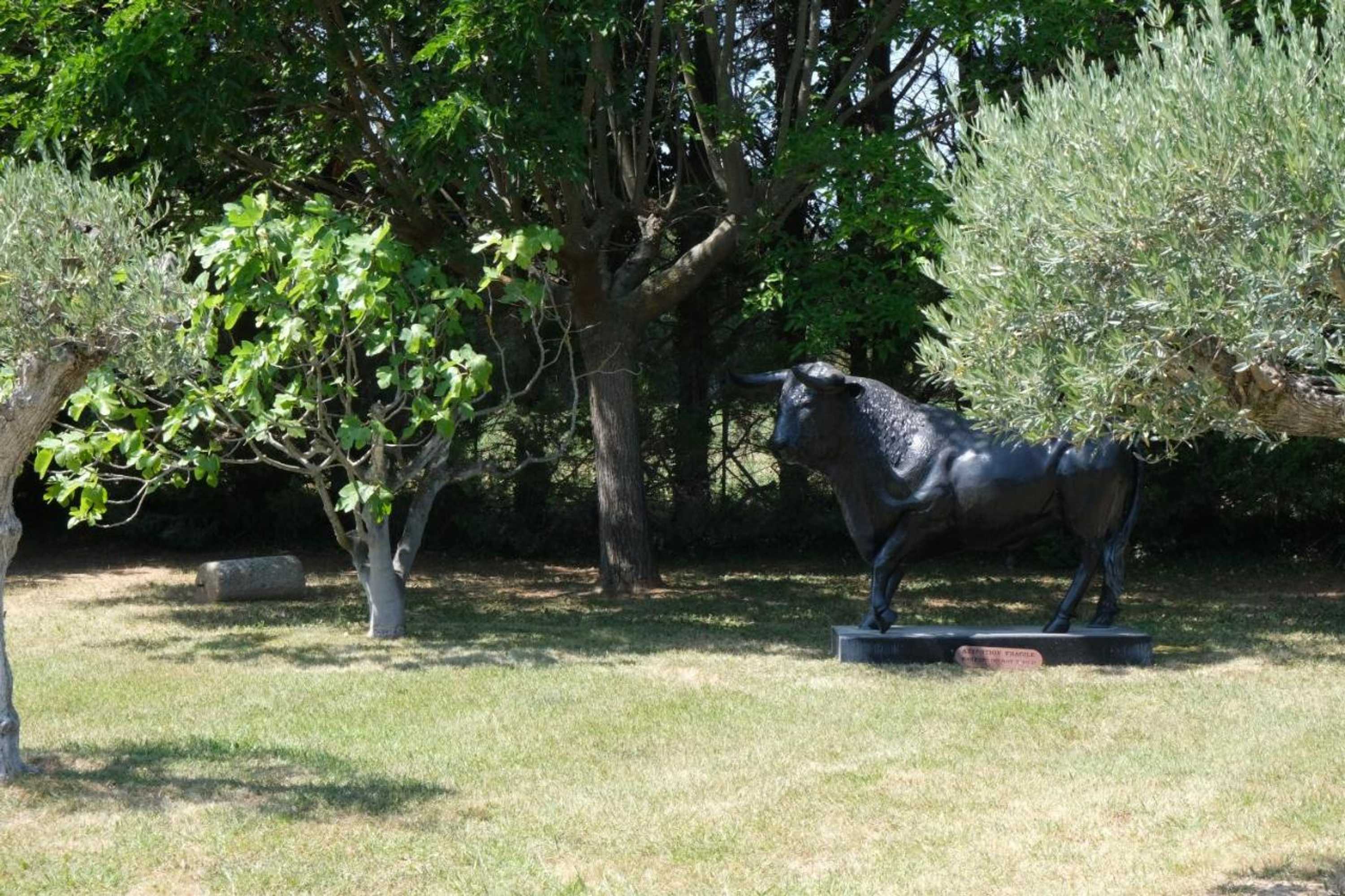 Gift card for Typical Provençal Farm House Close to L'isle Sur la Sorgue - 12 Persons Gift card for Typical Provençal Farm House Close to L'isle Sur la Sorgue - 12 Persons