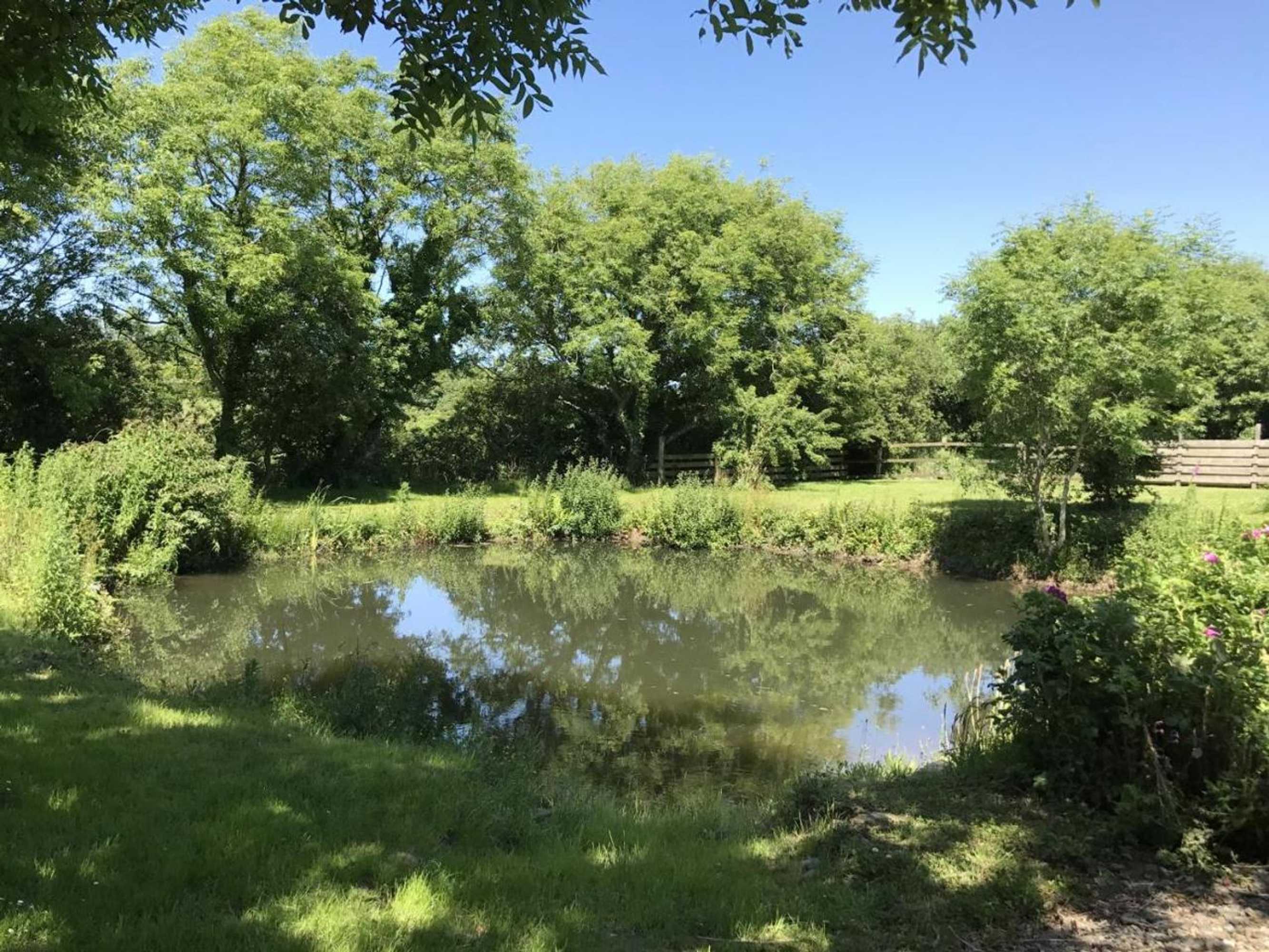 Gift card for Shippon