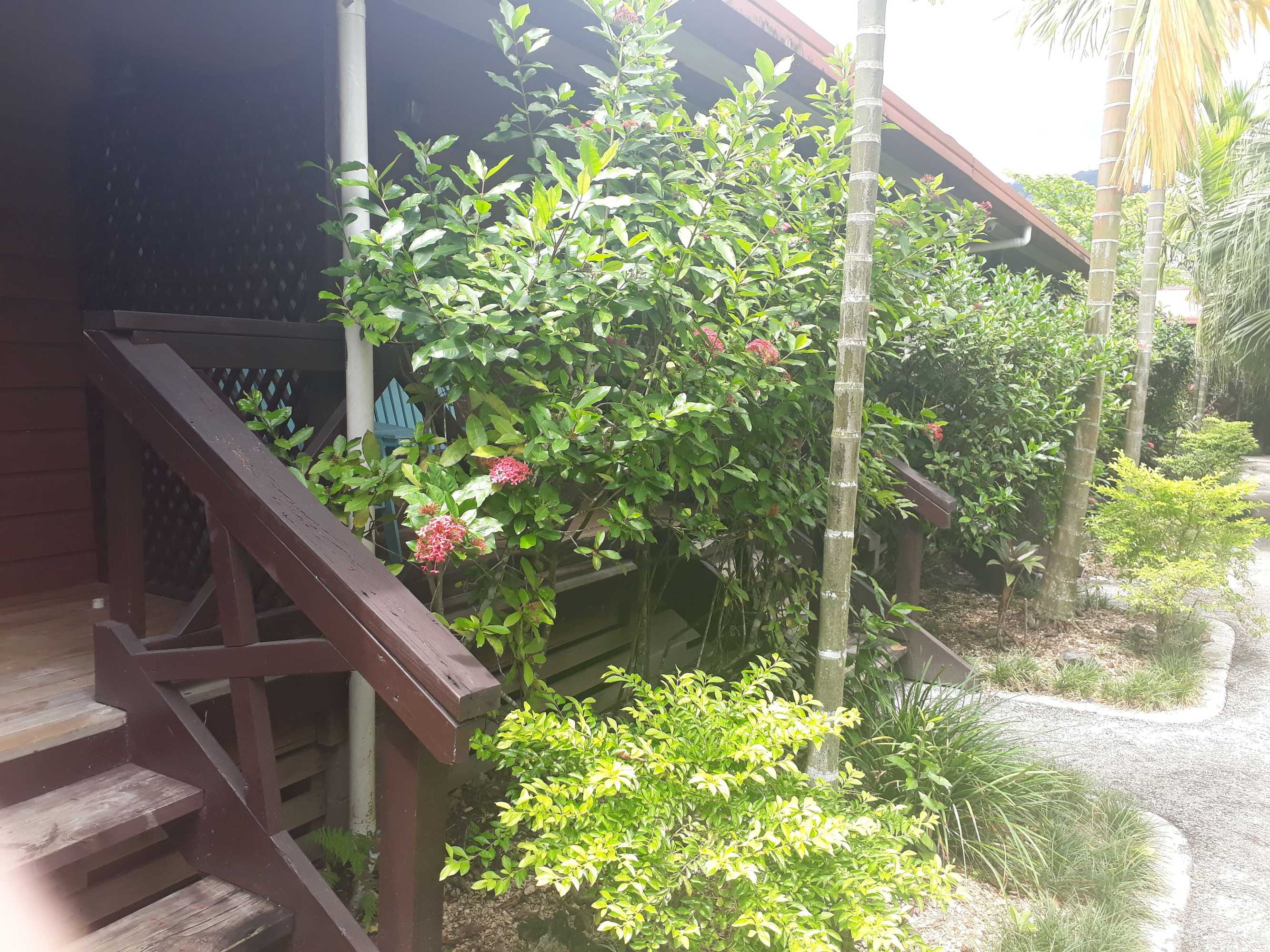 Gift card for Eden's Edge Hotel