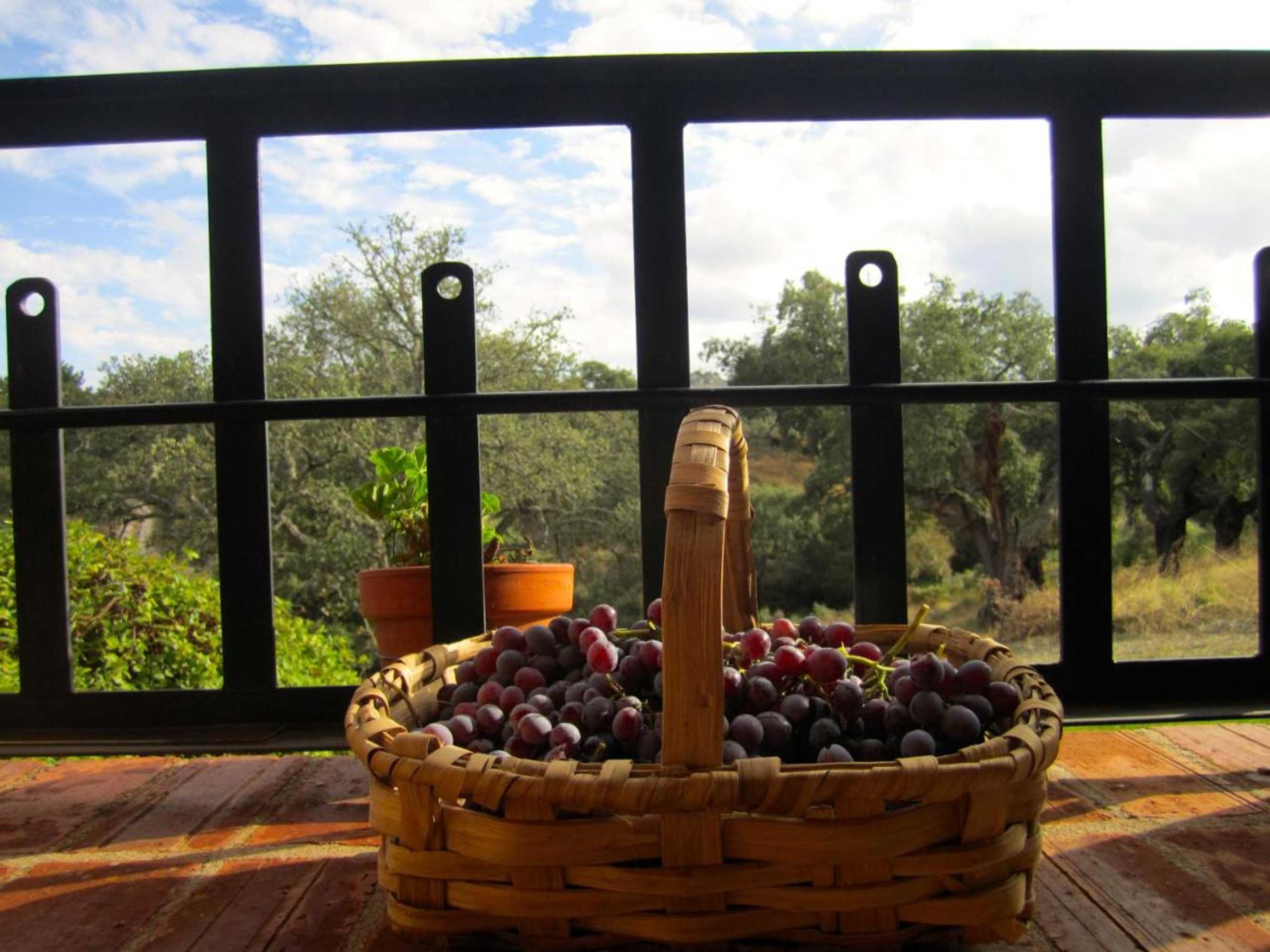 Gift card for La Macera