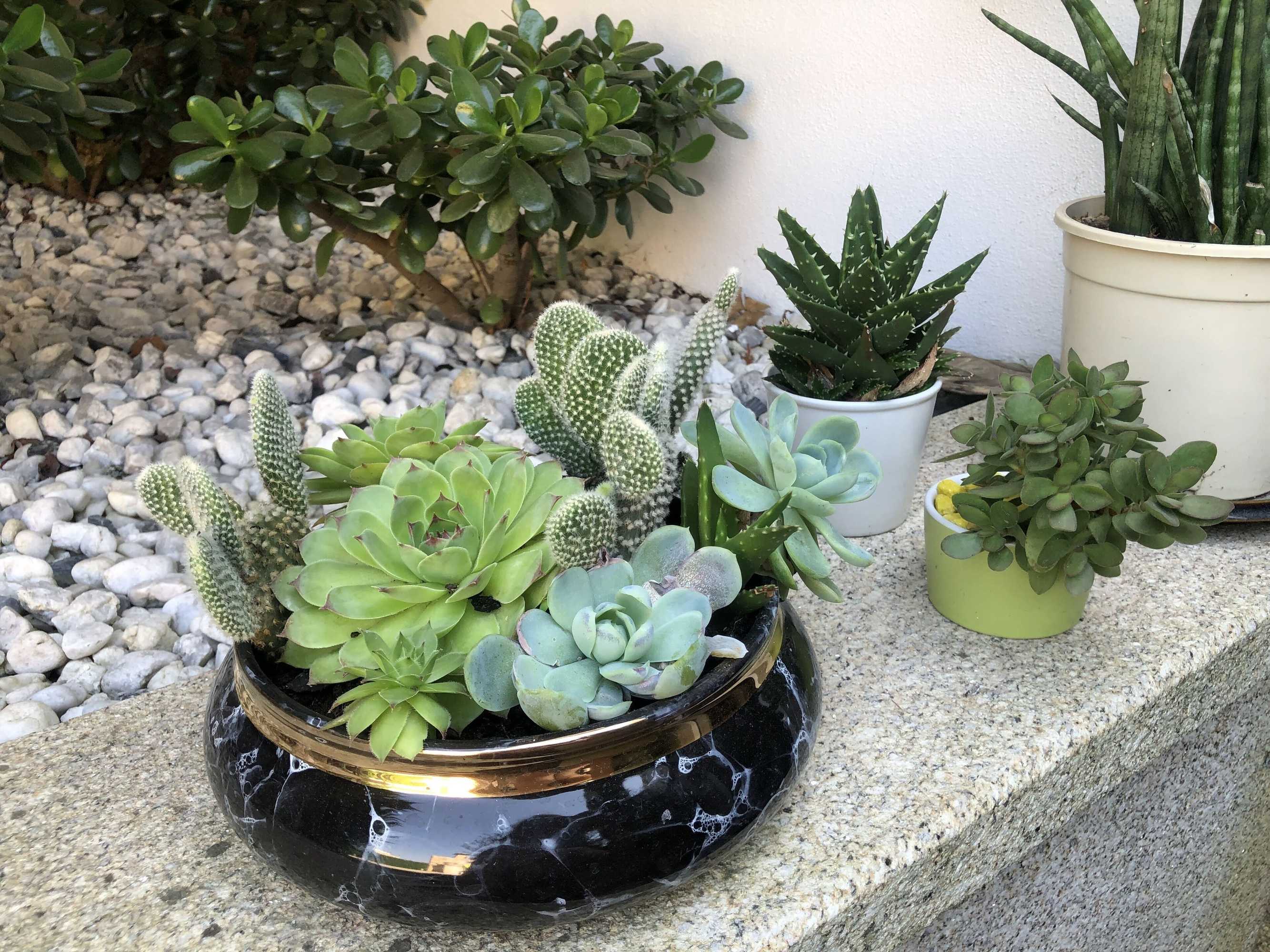 Gift card for Casa Pedro e Ines