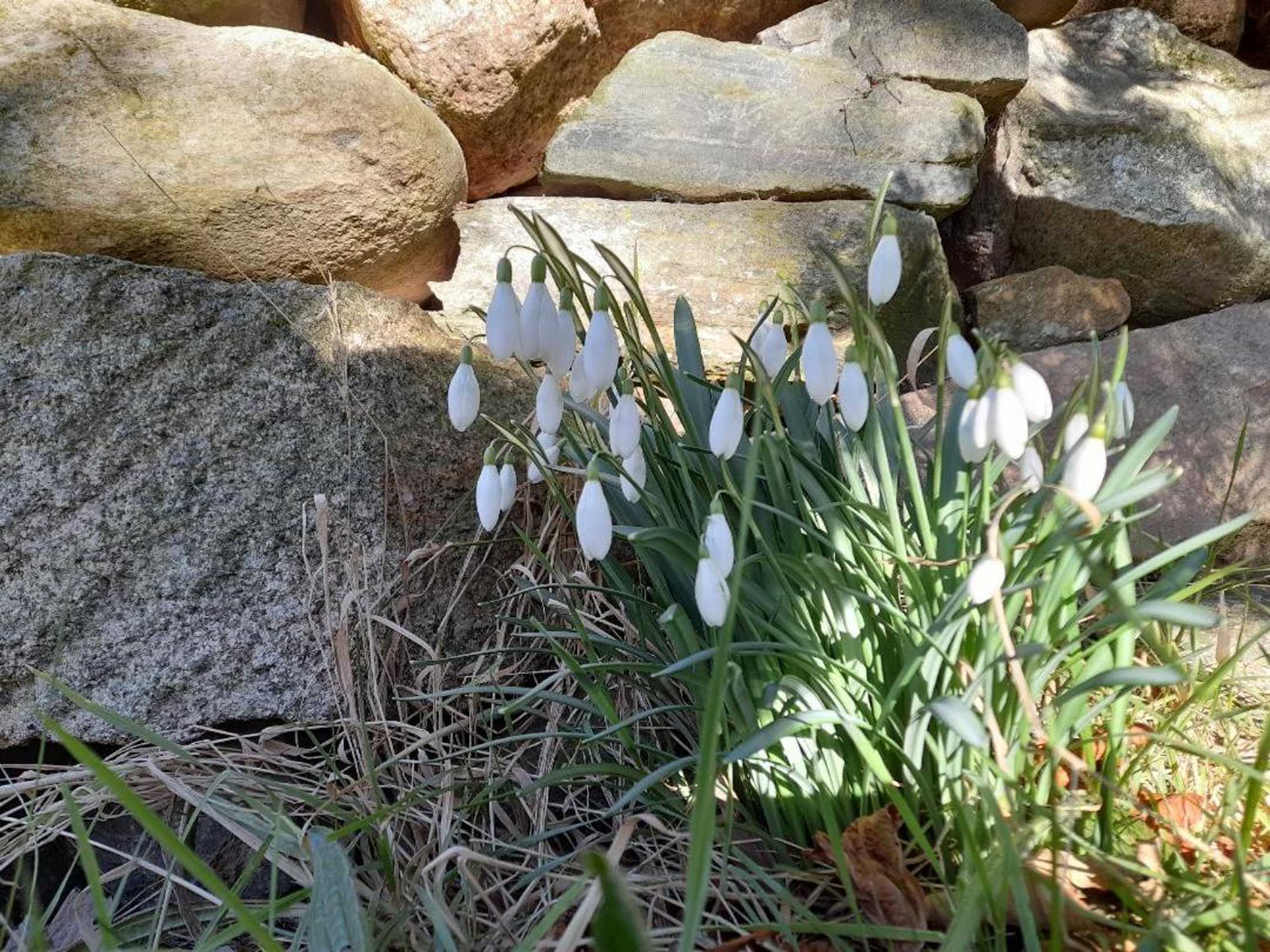 Gift card for The Granary