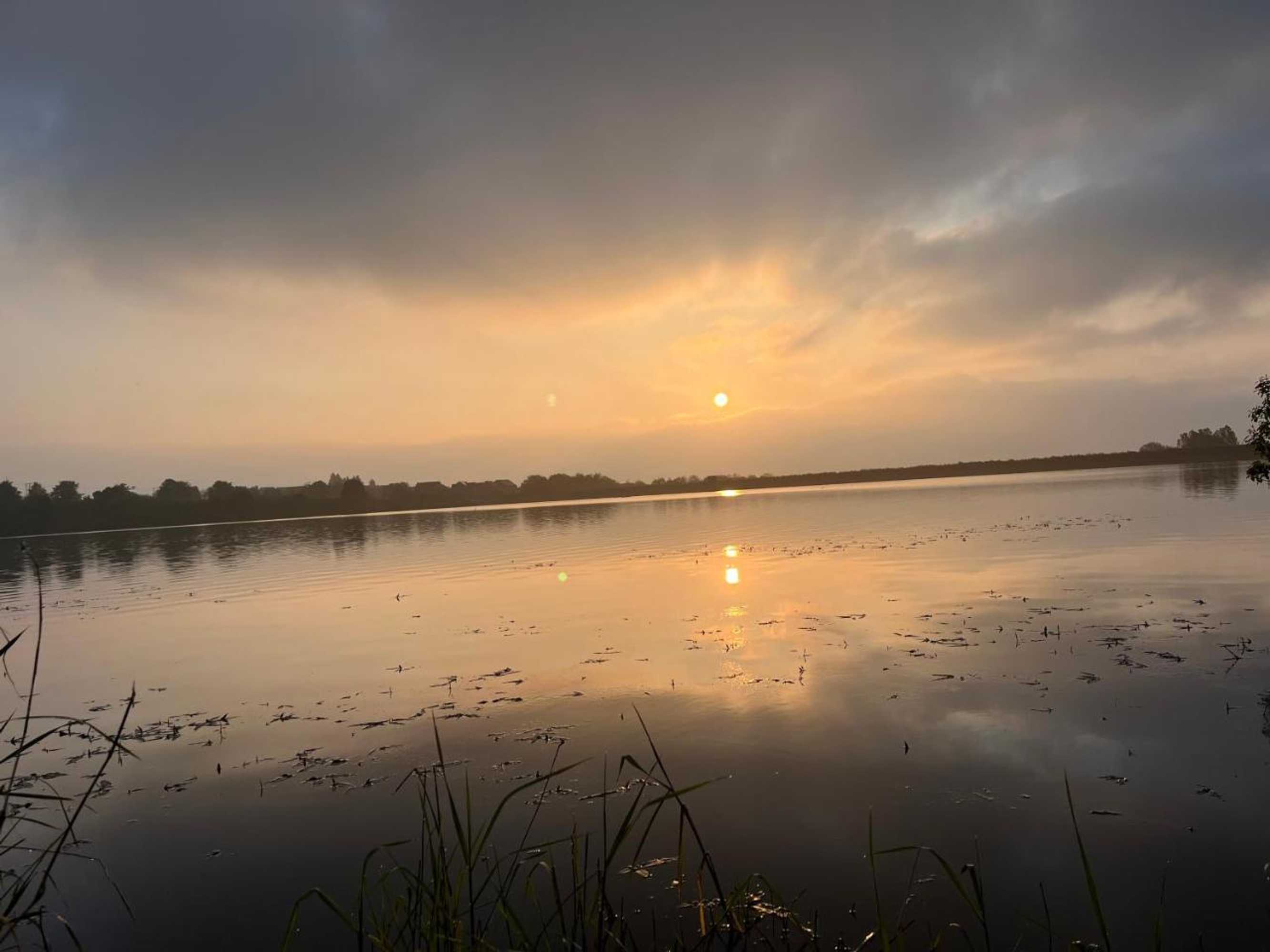 Gift card for The Dog And Partridge