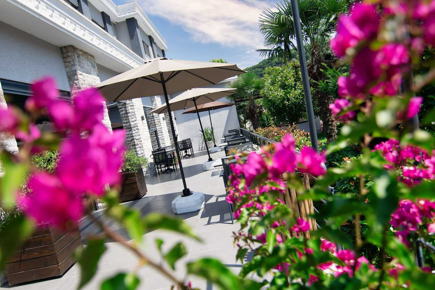 Gift card for Vela Verde Hotel & Spa Gift card for Vela Verde Hotel & Spa